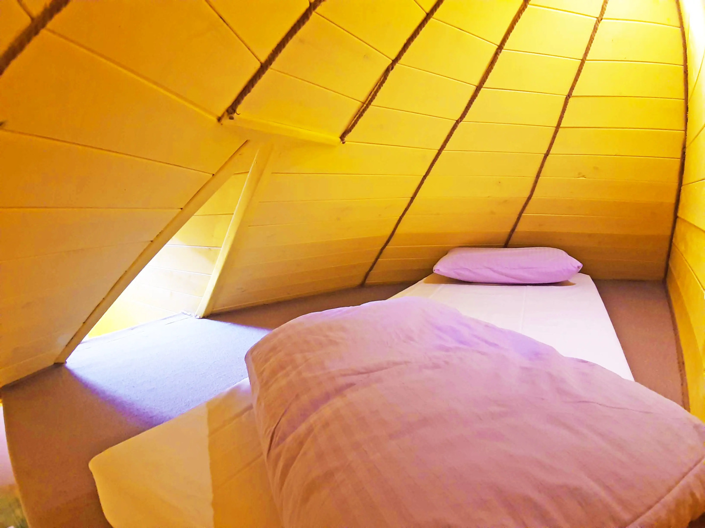 Гостевой дом Дом Жевунов