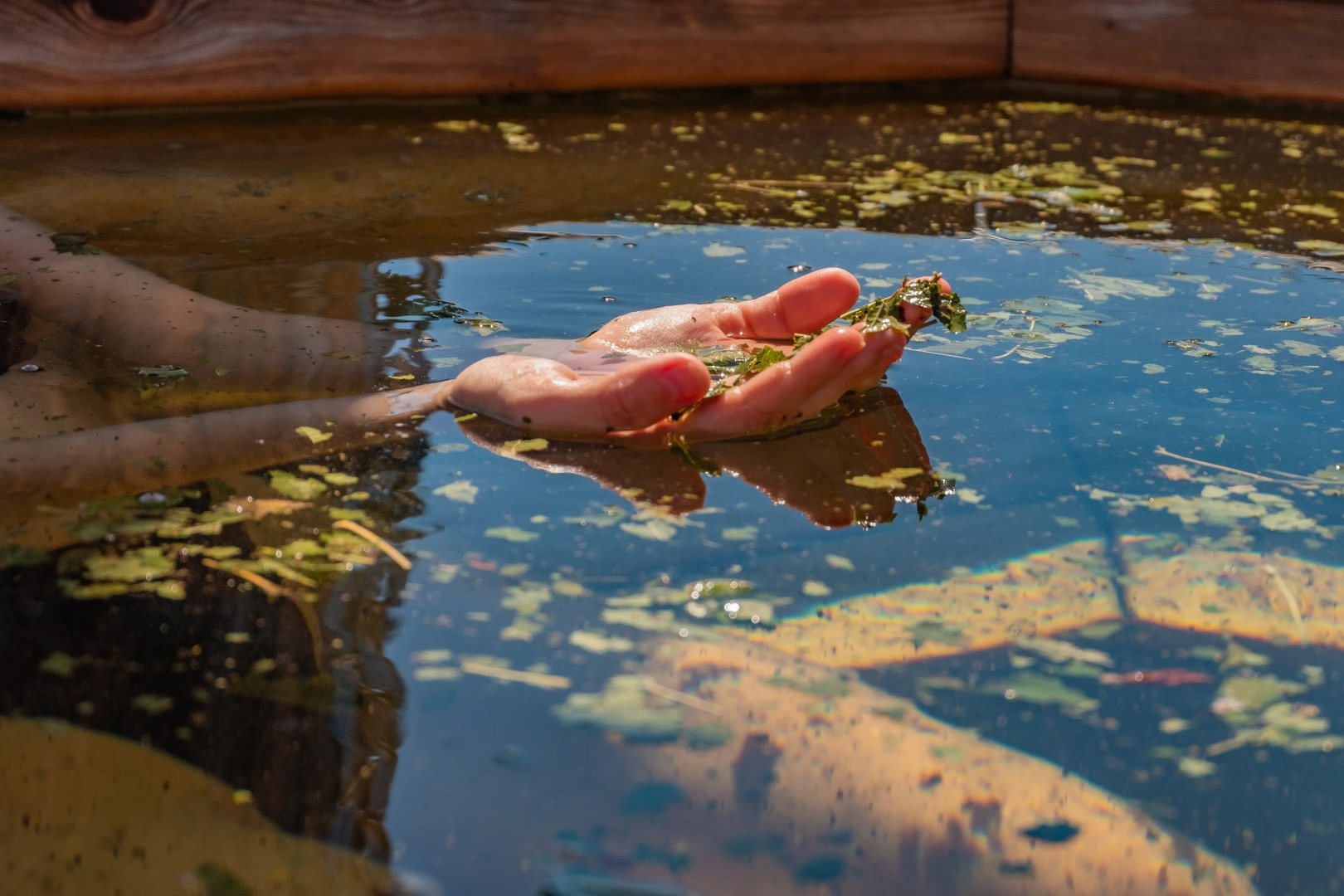 Гостиничный Комплекс Золото Алтая