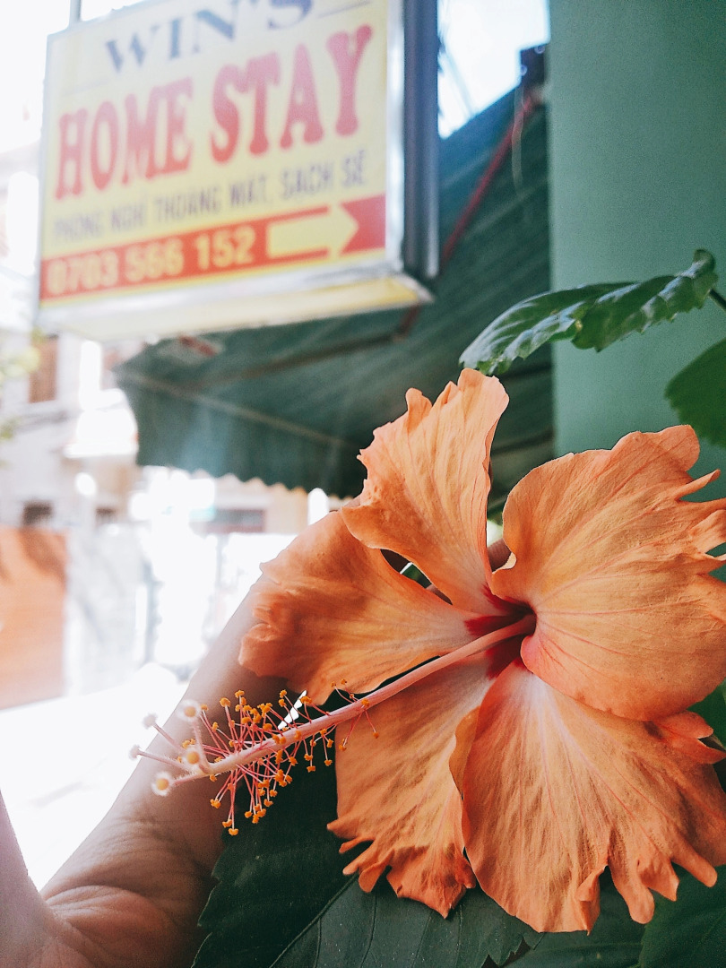 Гостевой Дом Win's Danang Homestay