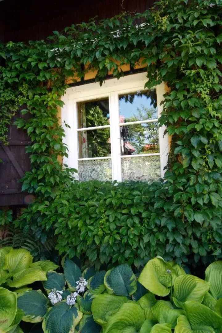 Вилла Reglówka