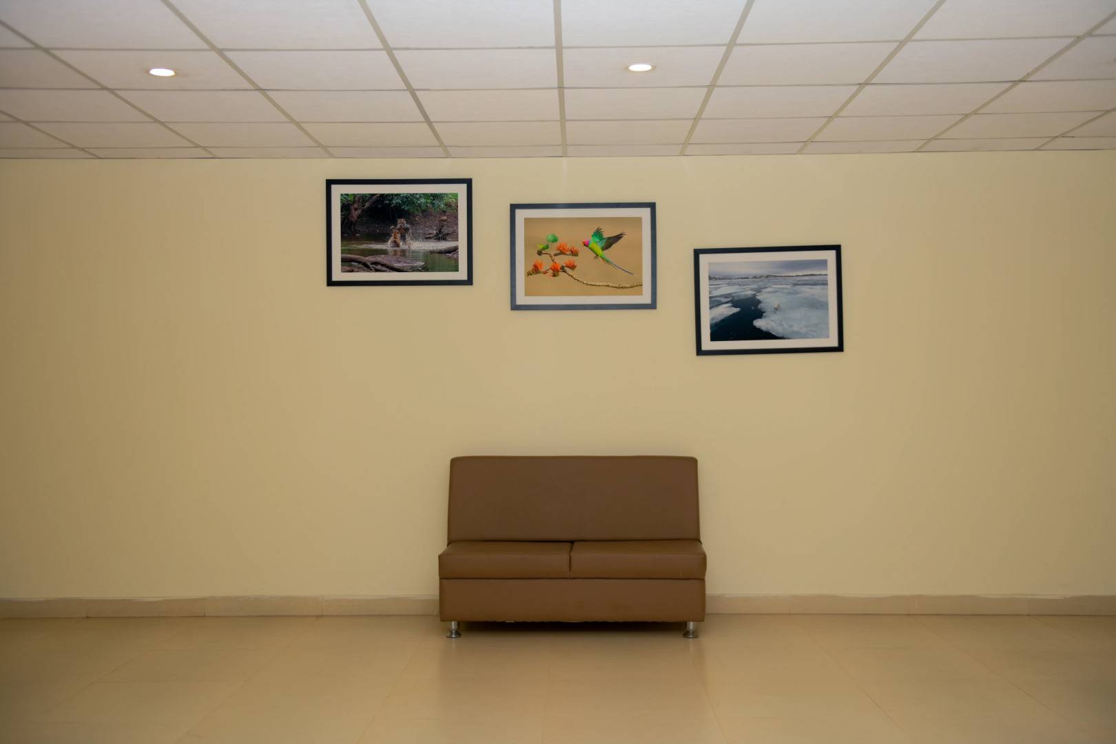 Отель Casa Meridian