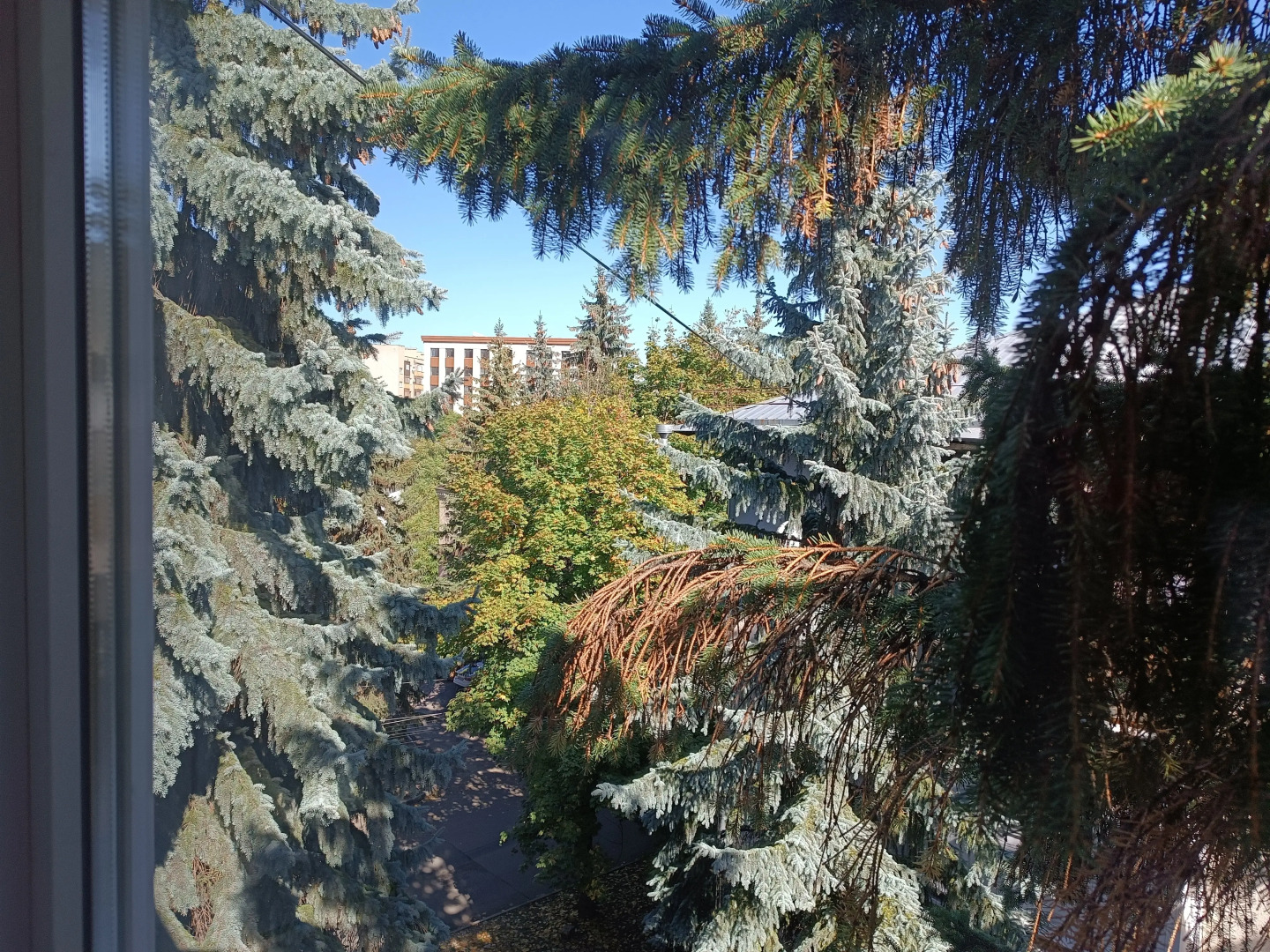 Квартира Двухкомнатная на Тельмана 5