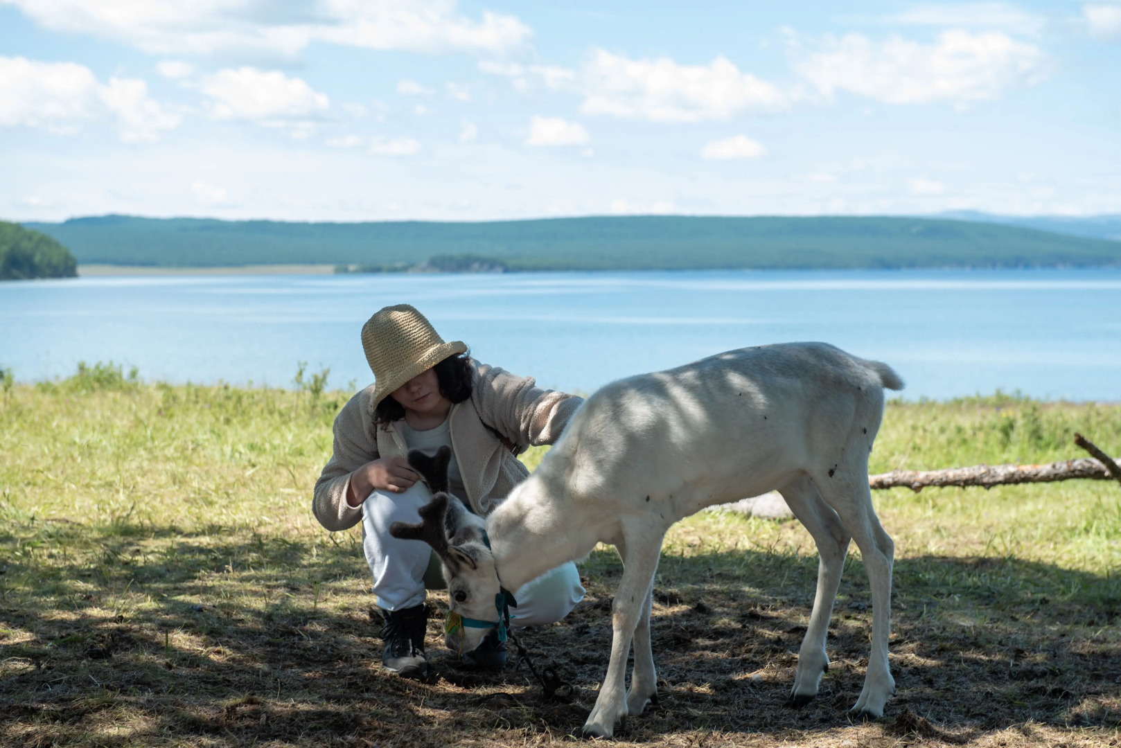 Курортный отель  Dalai Eej Khuvsgul Lake National Park