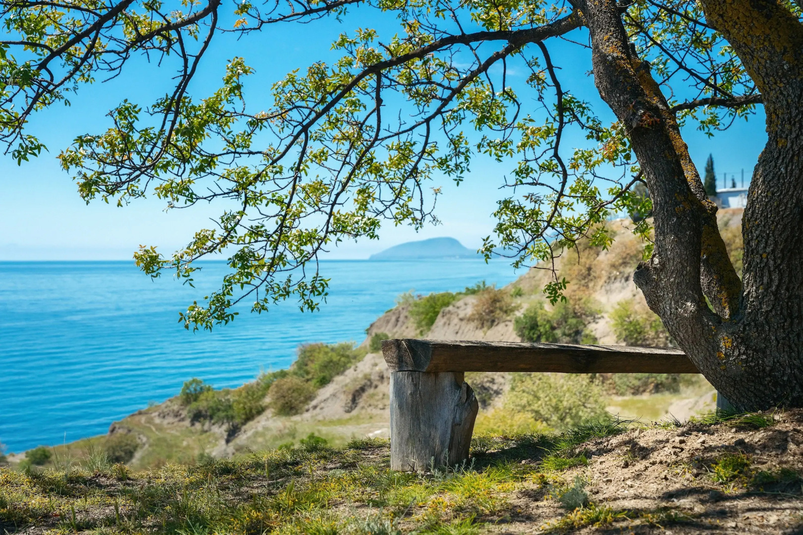 Вилла Виктория