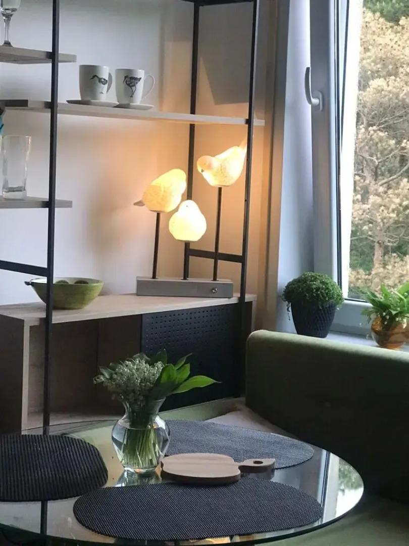 Апартаменты в Светлогорске на Майском 19