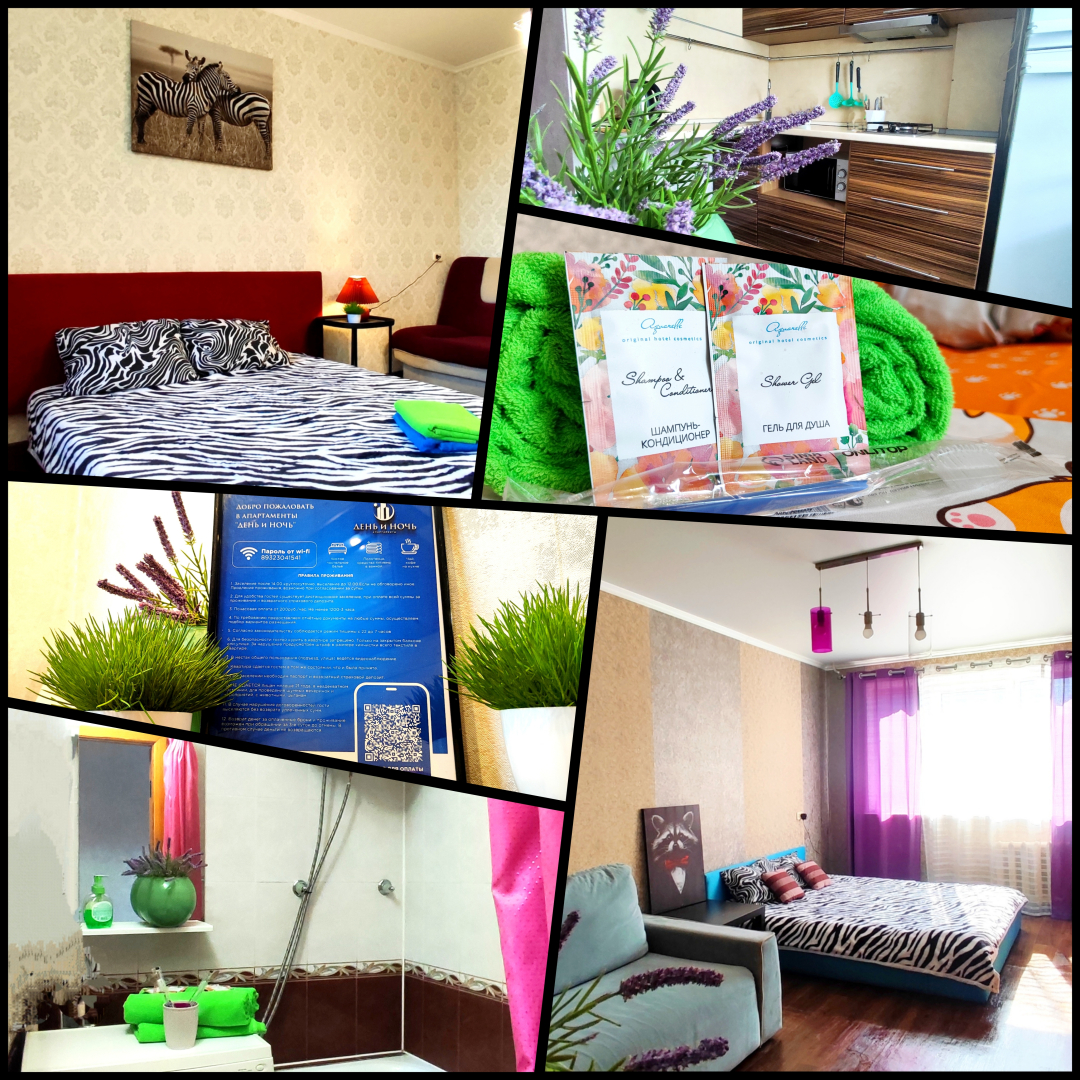 Квартира День и Ночь у Зебры