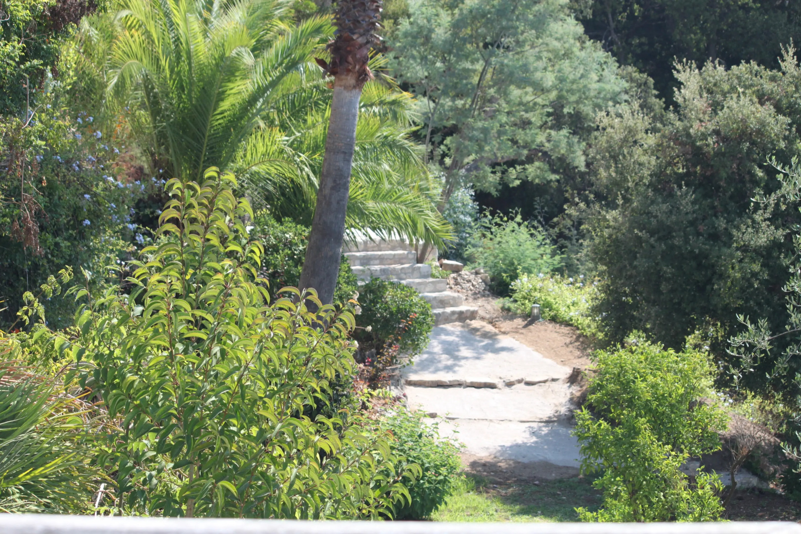 Вилла Невада