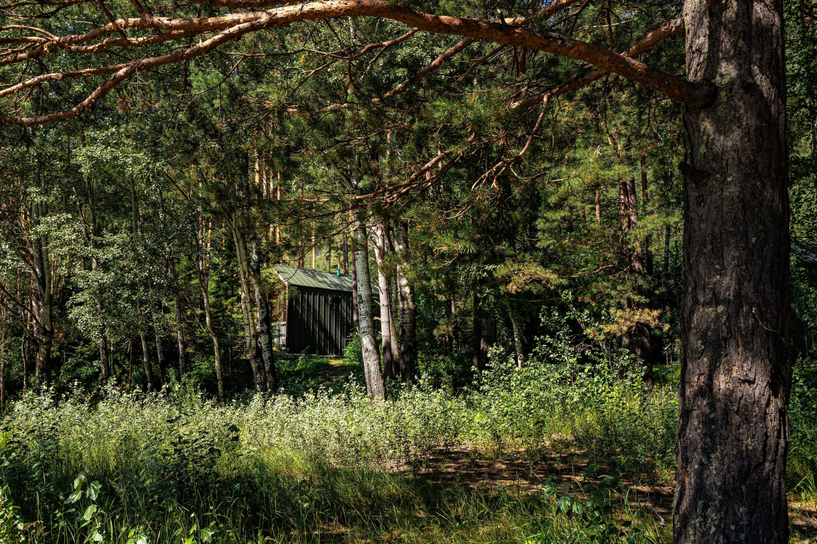 Отель Натура Эко