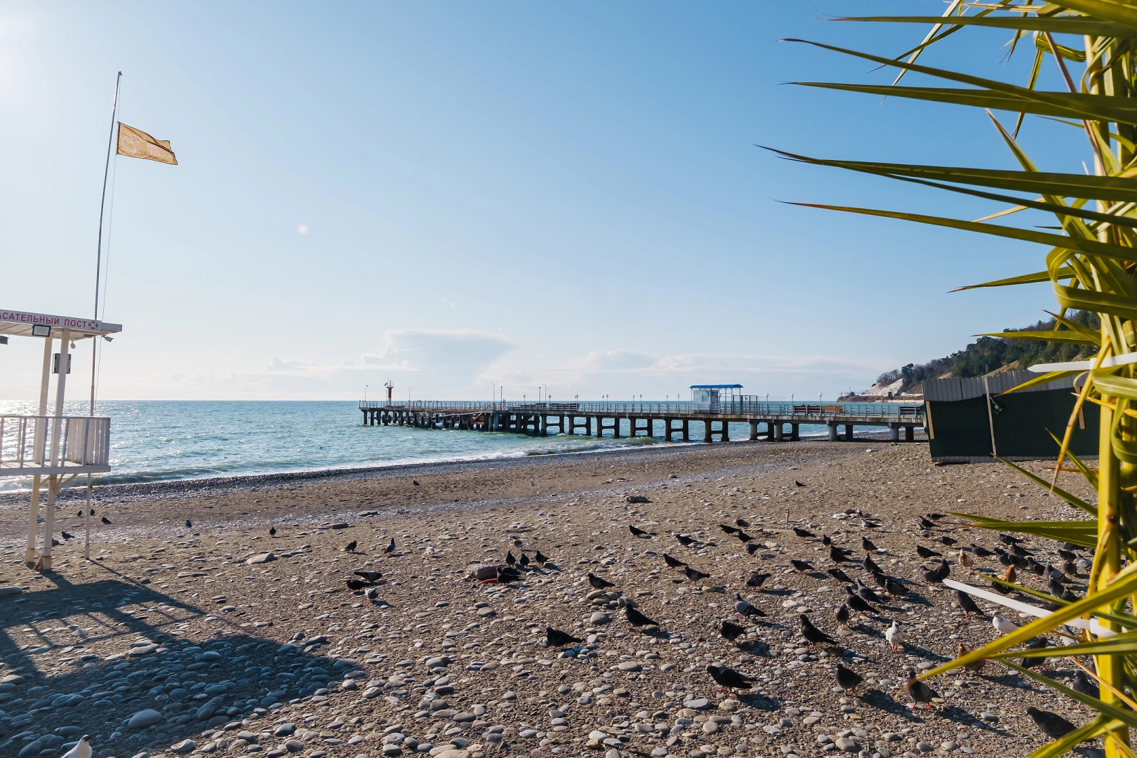 Квартира Евродвушка в ЖК Каравелла Португалии