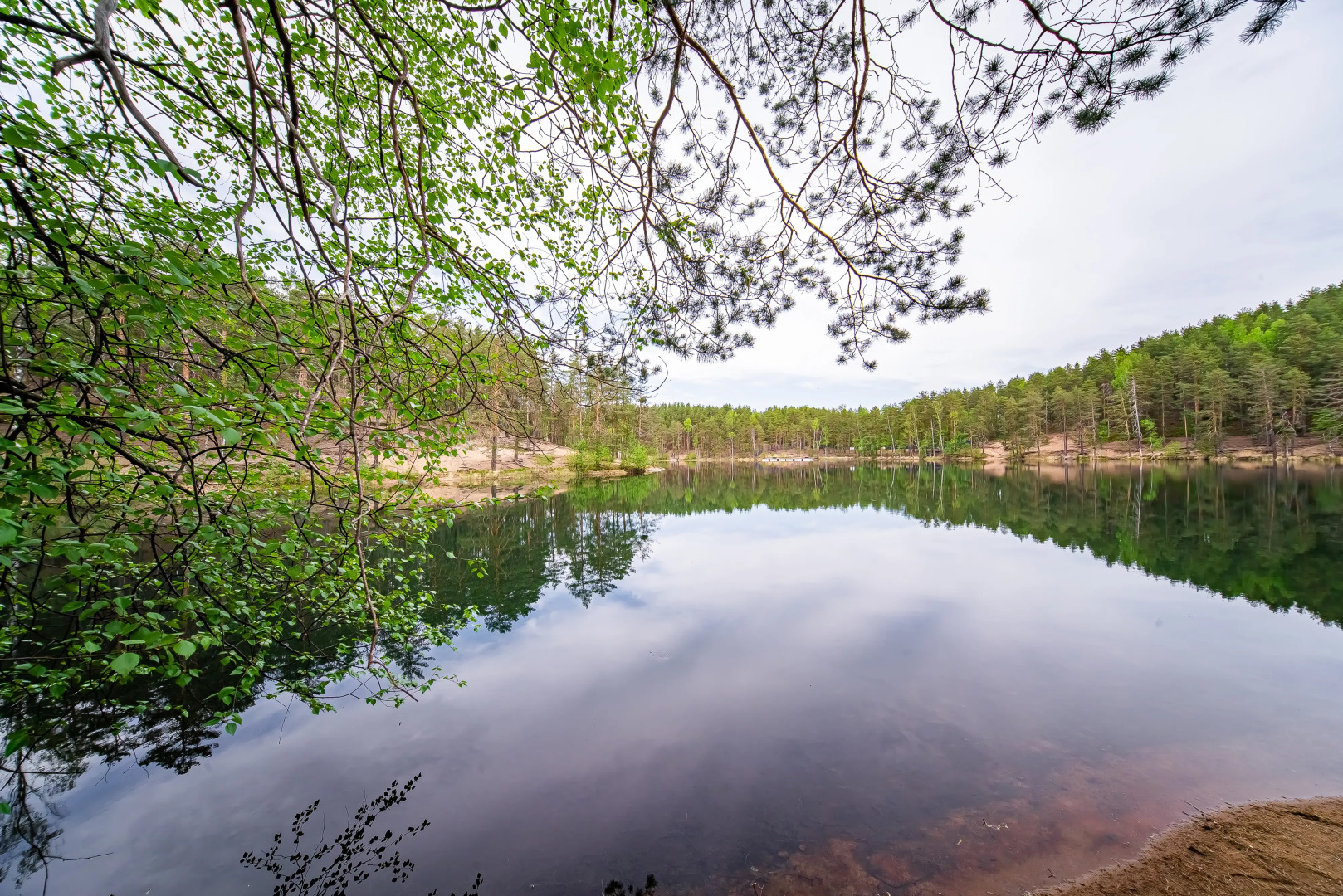База отдыха Загородный клуб Радужный лес
