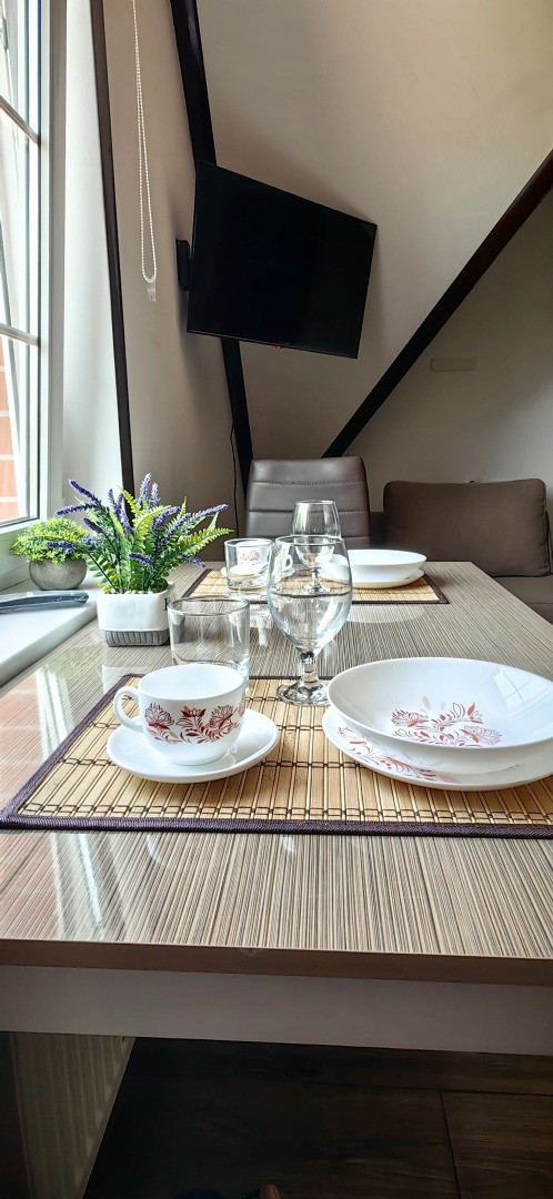 Апартаменты 10 Хоум Раушен в Светлогорске