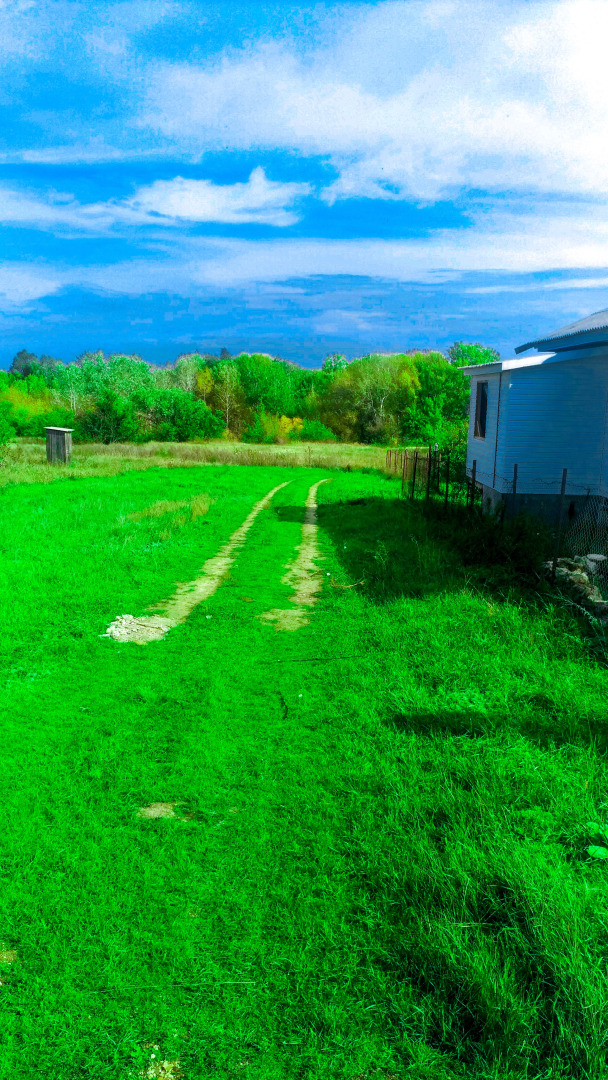 Гостевой дом Два белых льва на Дону