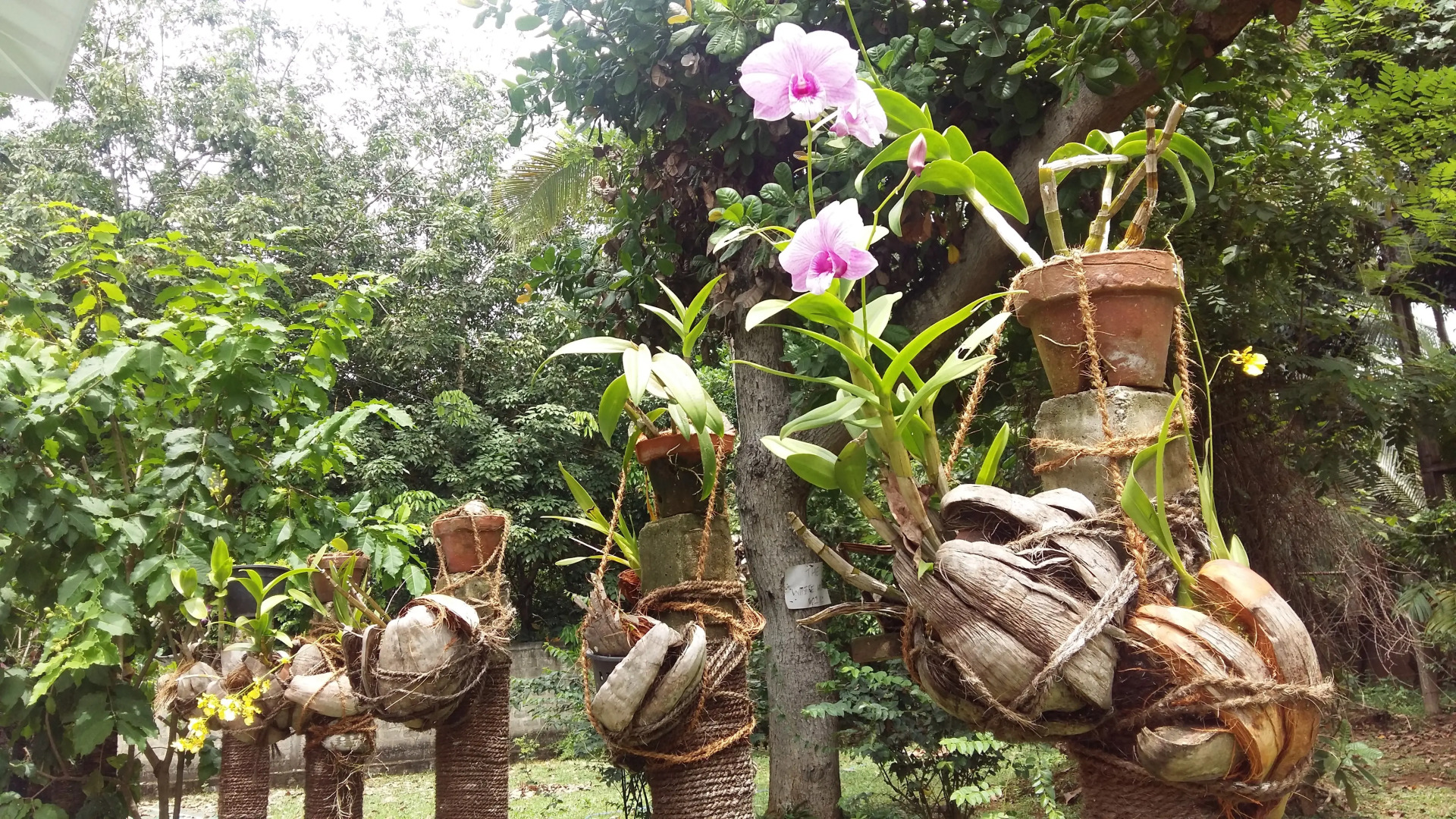 Гостевой Дом Wasaba Jayasekera