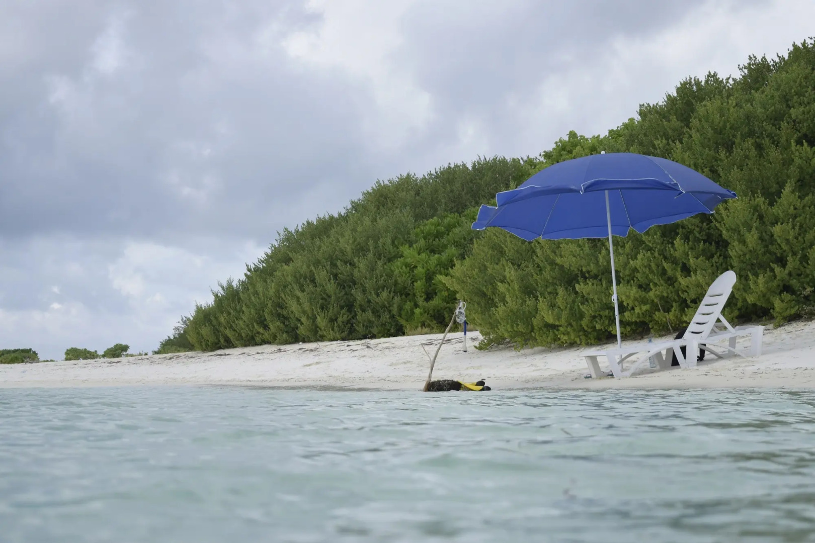 Гостевой дом Alvi Star Inn