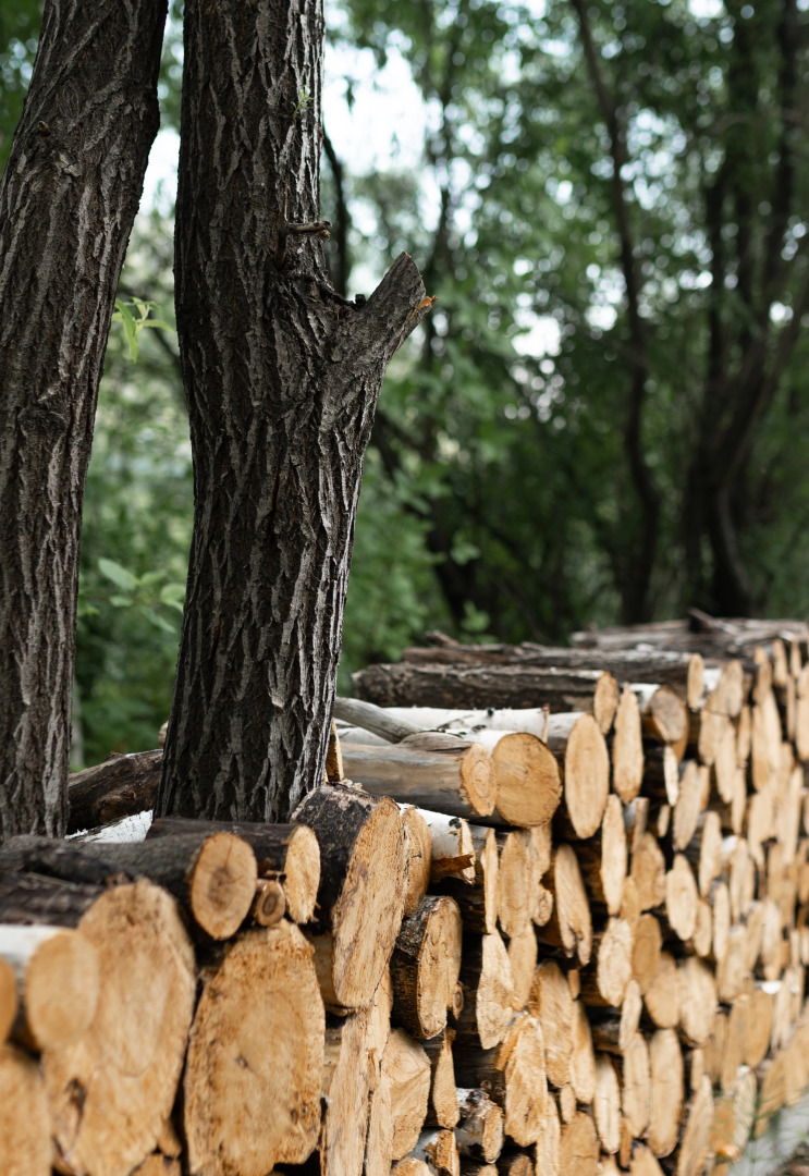 Глэмпинг Khan Glamping Goloustnoye