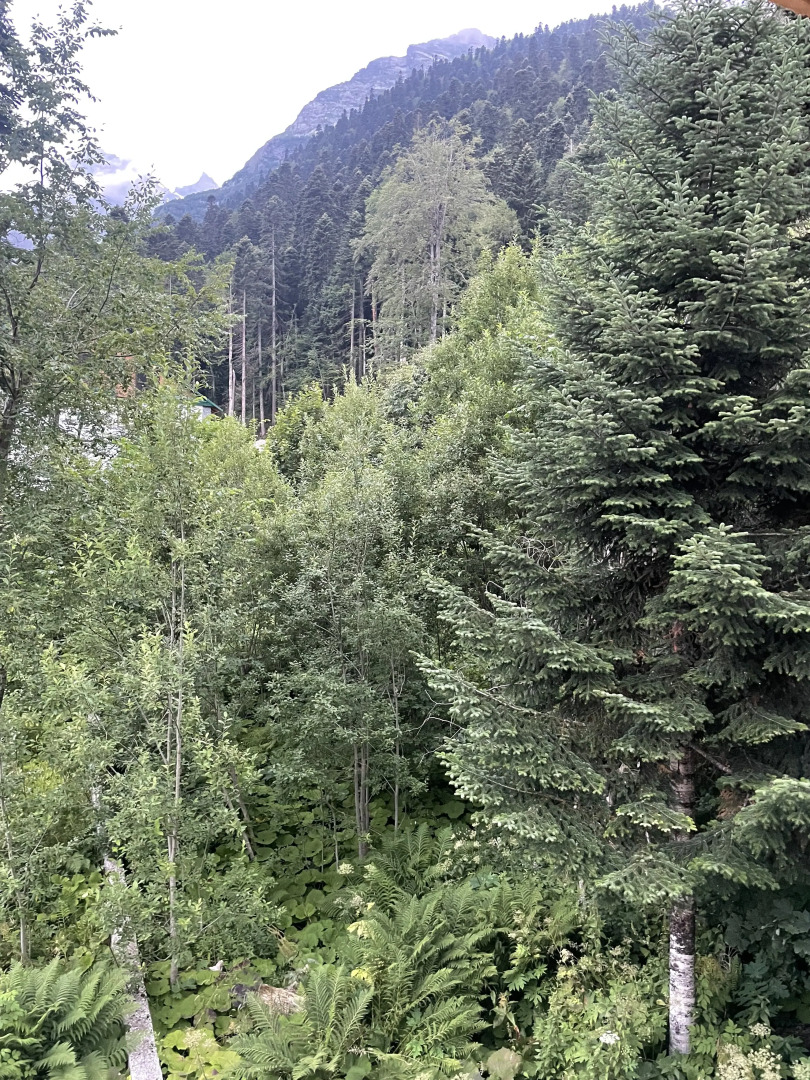 Апартаменты Уютные с видом на горы