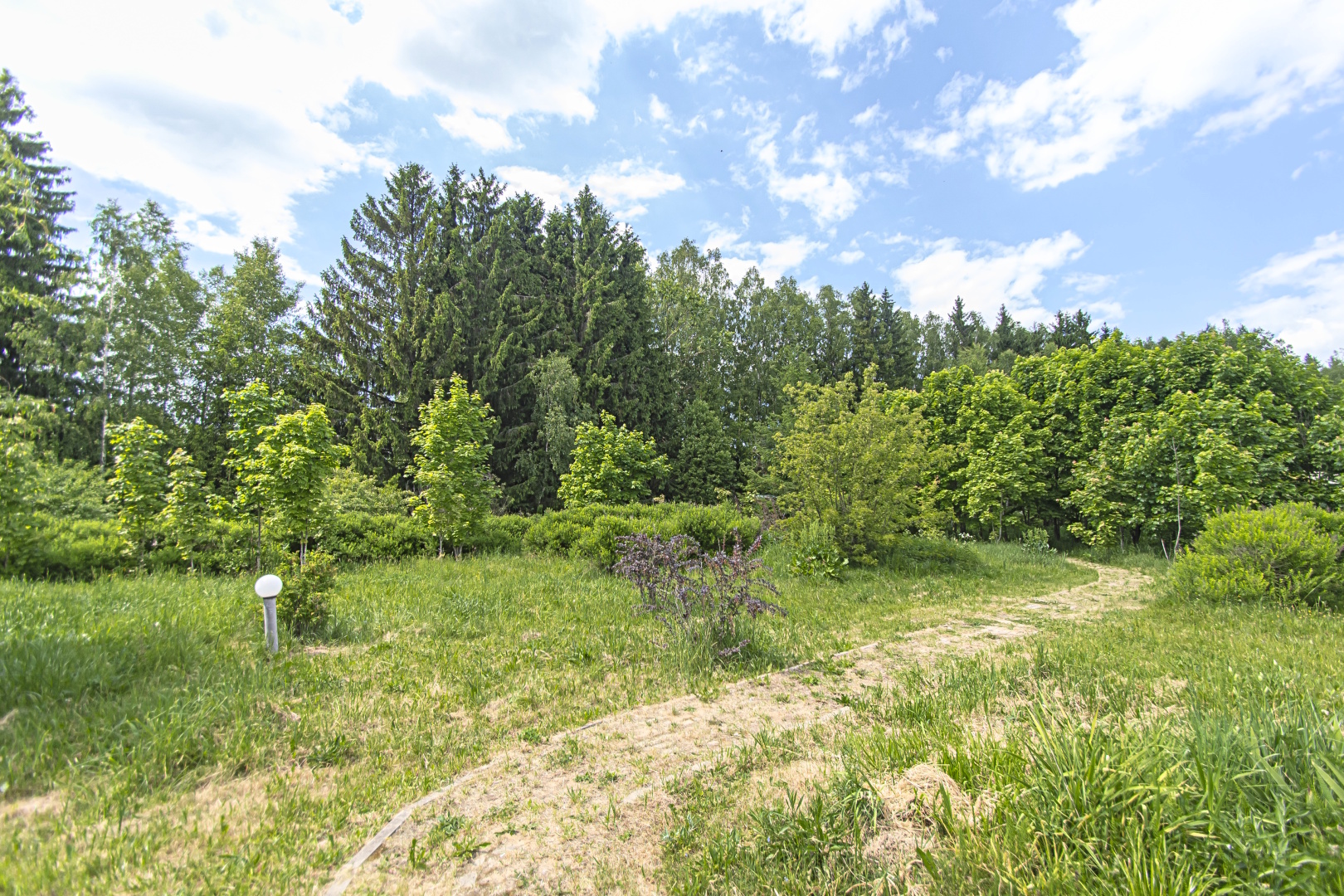 База отдыха Поле - отель Новая Салынь