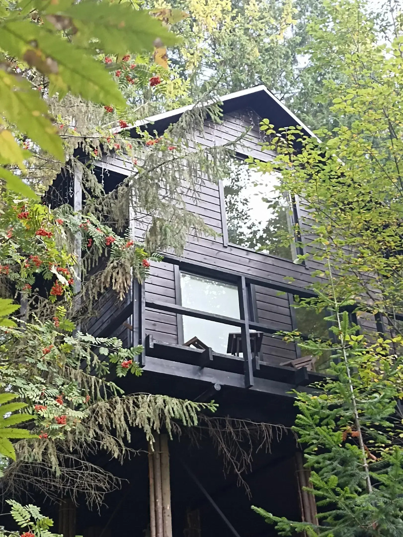 Глэмпинг Опушка Дом среди деревьев