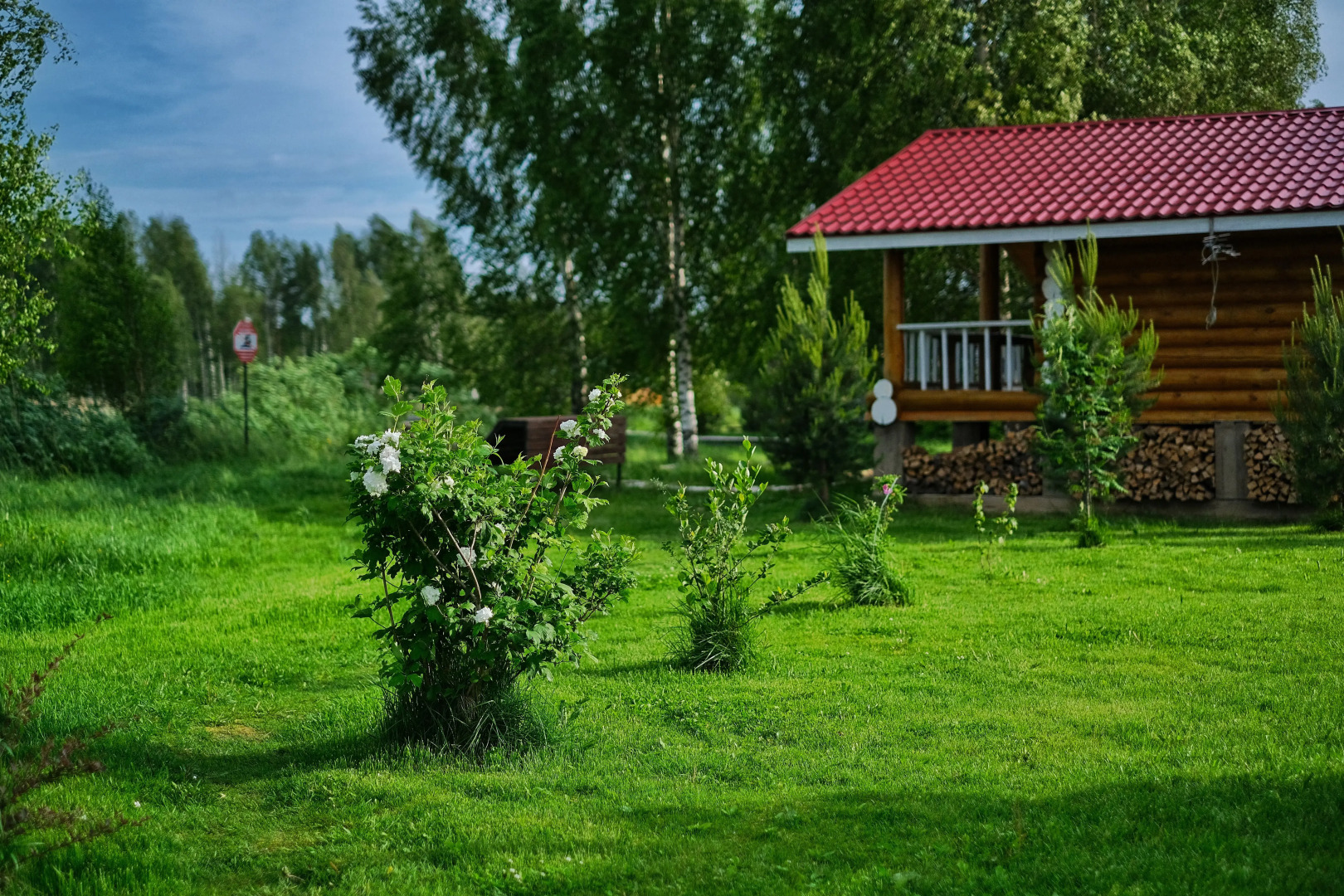 Гостевой дом Дикий Гусь