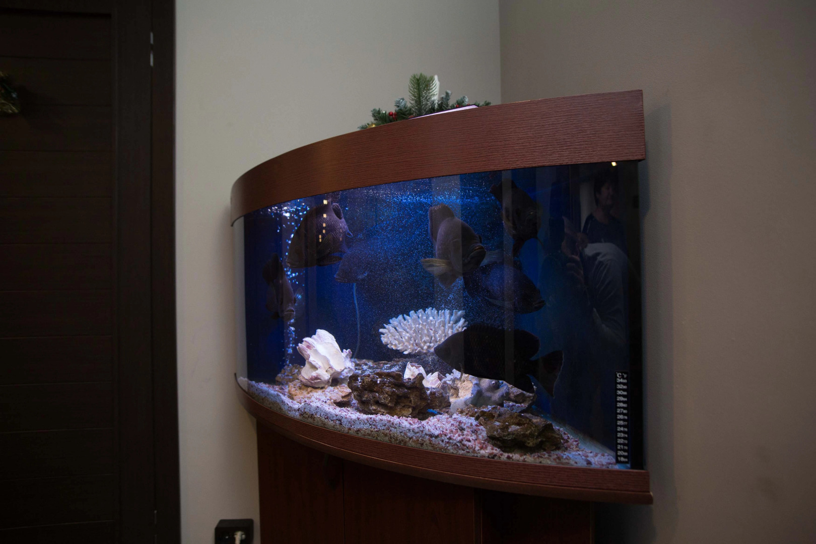 Хостел Check-in hotels Moscow Rublevka