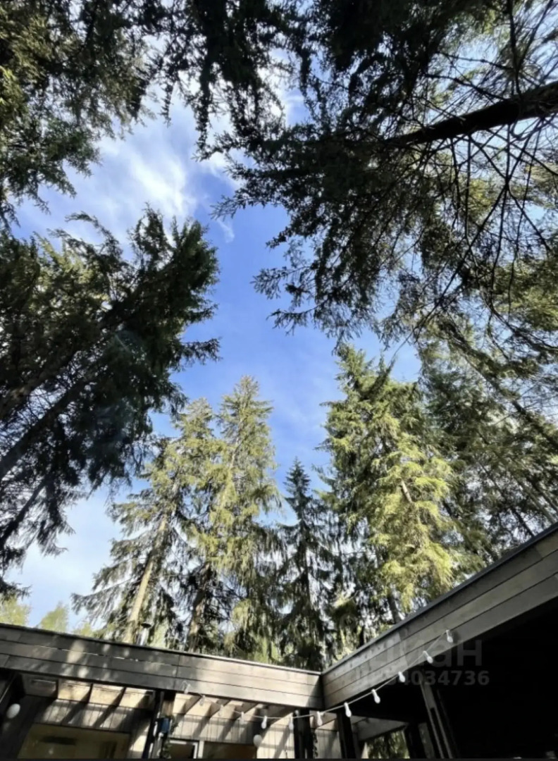 Шале Сказочная Скаут дача в хвойном лесу