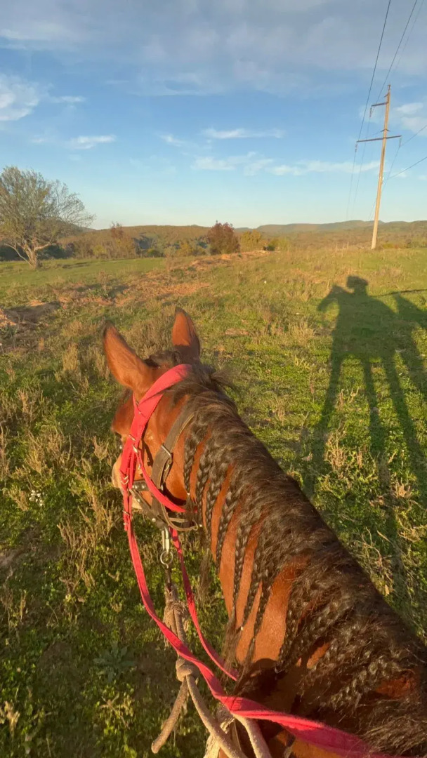 Частный дом Казачий стан