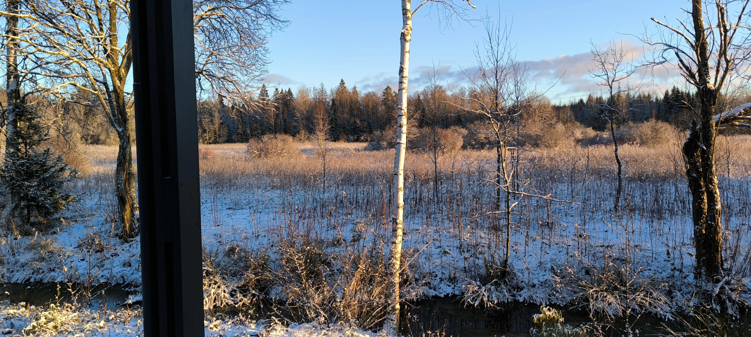 Гостевой дом BrusnikaДом