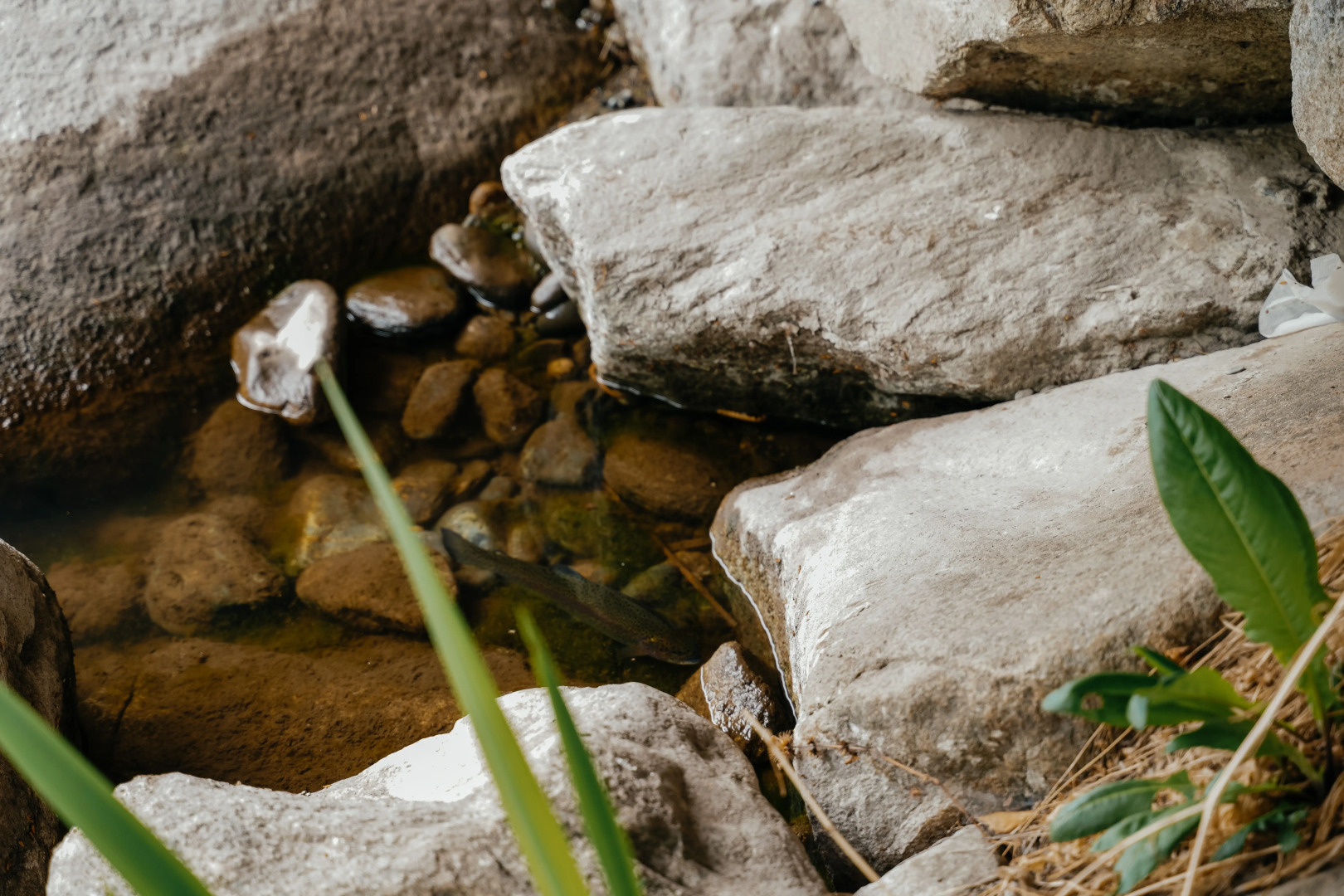 База отдыха Рыбачий стан