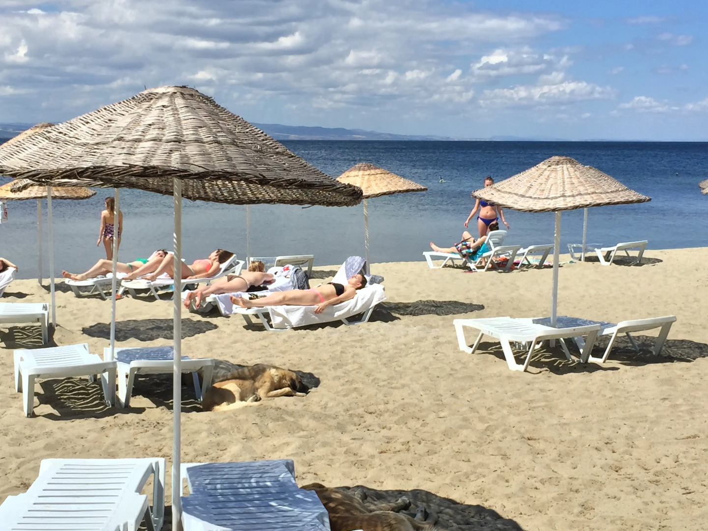 Отель Eker Bermuda Otel