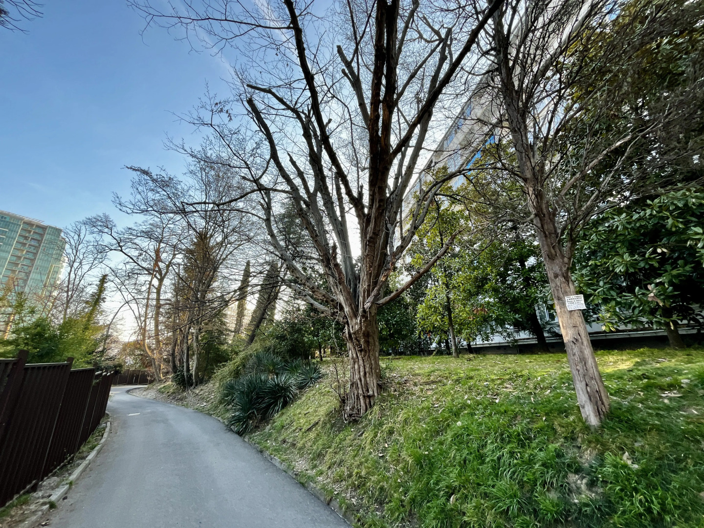 Апартаменты Светлана