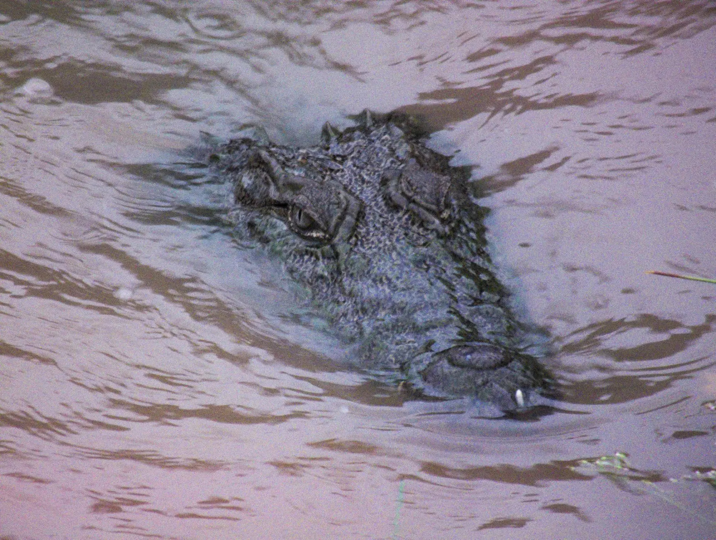 Курортный Отель Heina Nature Resort & Yala Safari