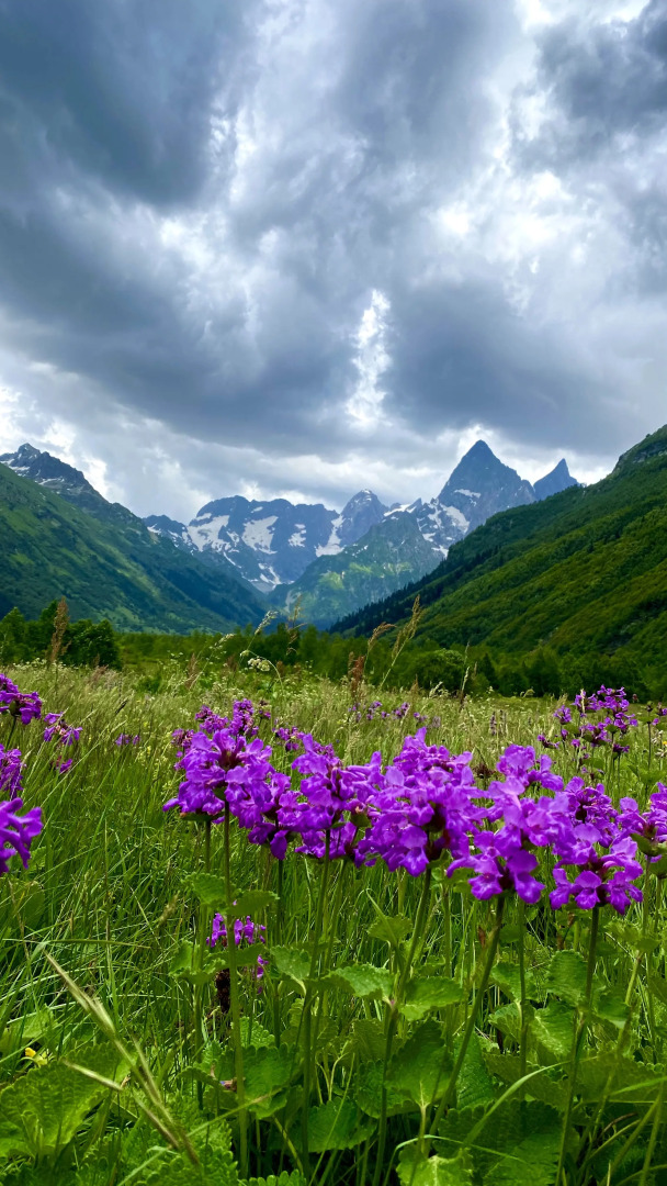 Гостевой дом Аура гор