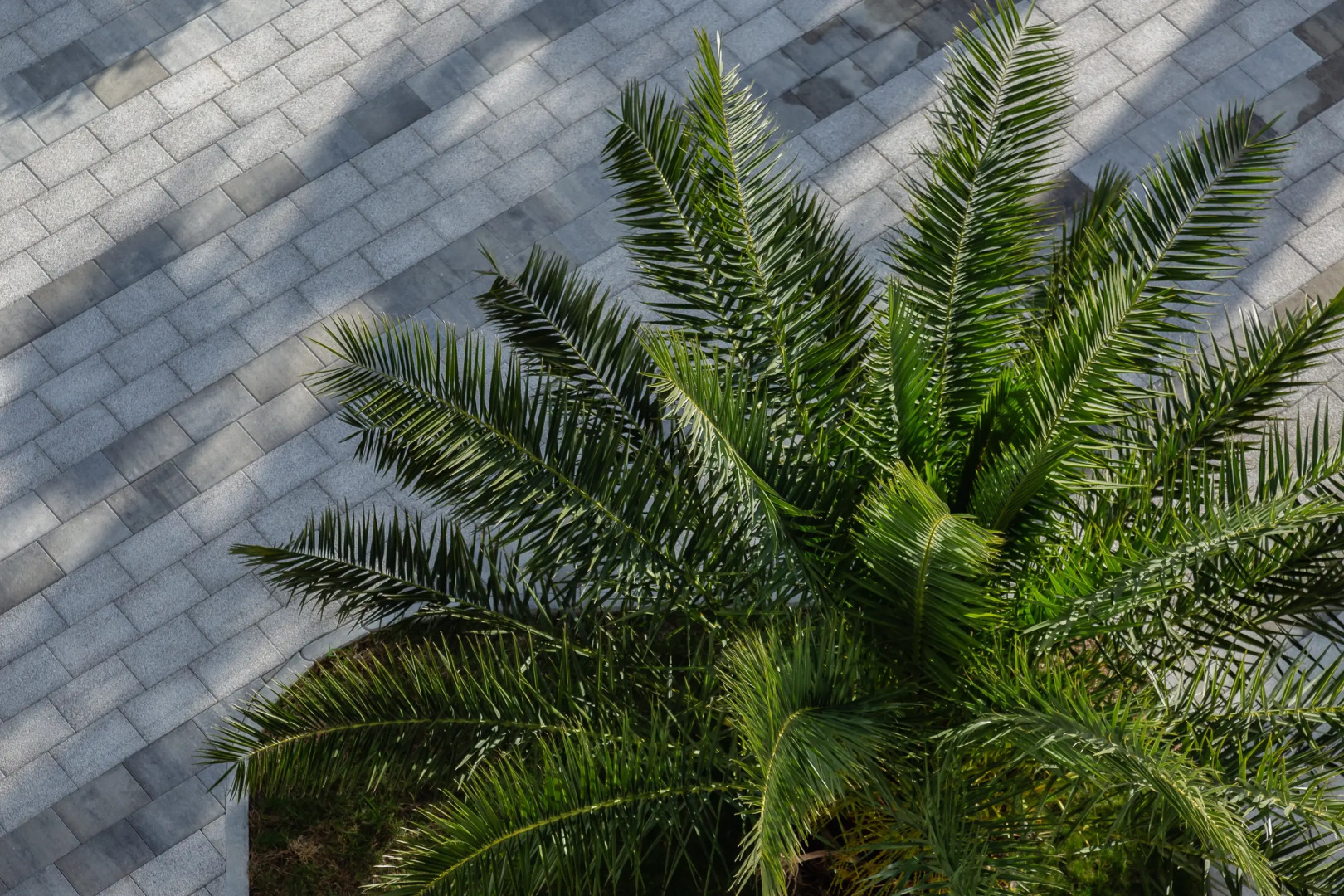 Radisson Collection Paradise Resort & Spa, Sochi