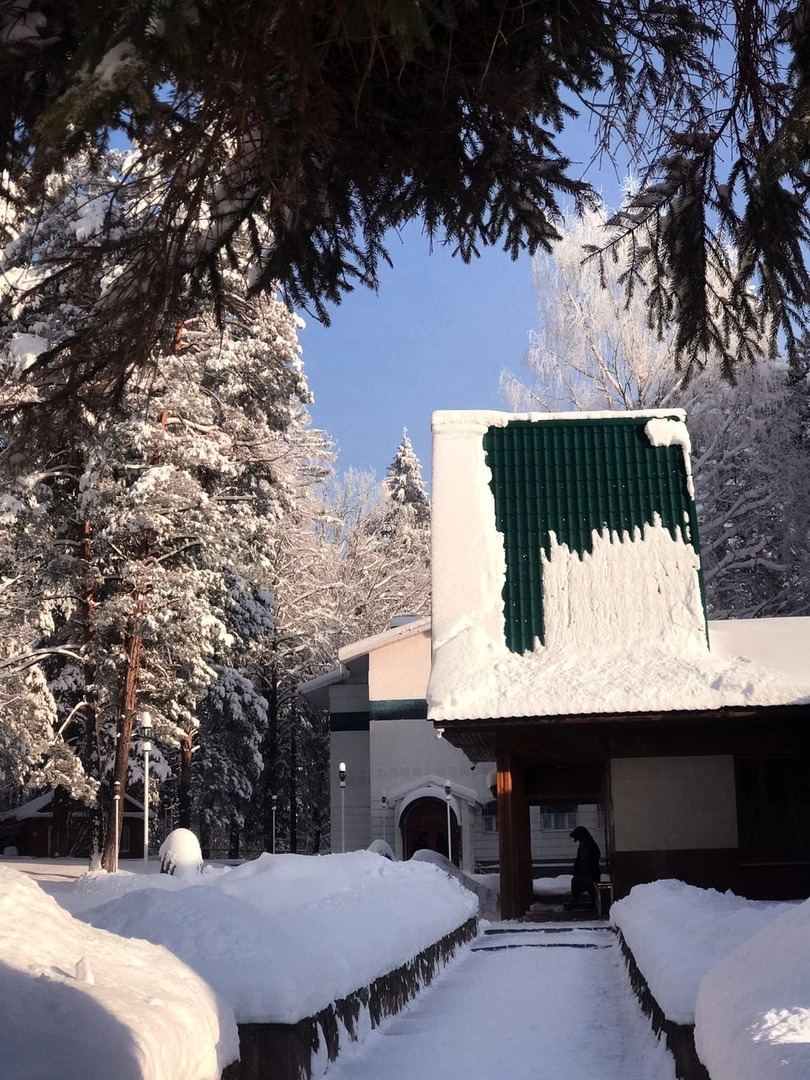 Отель Лесная Сказка