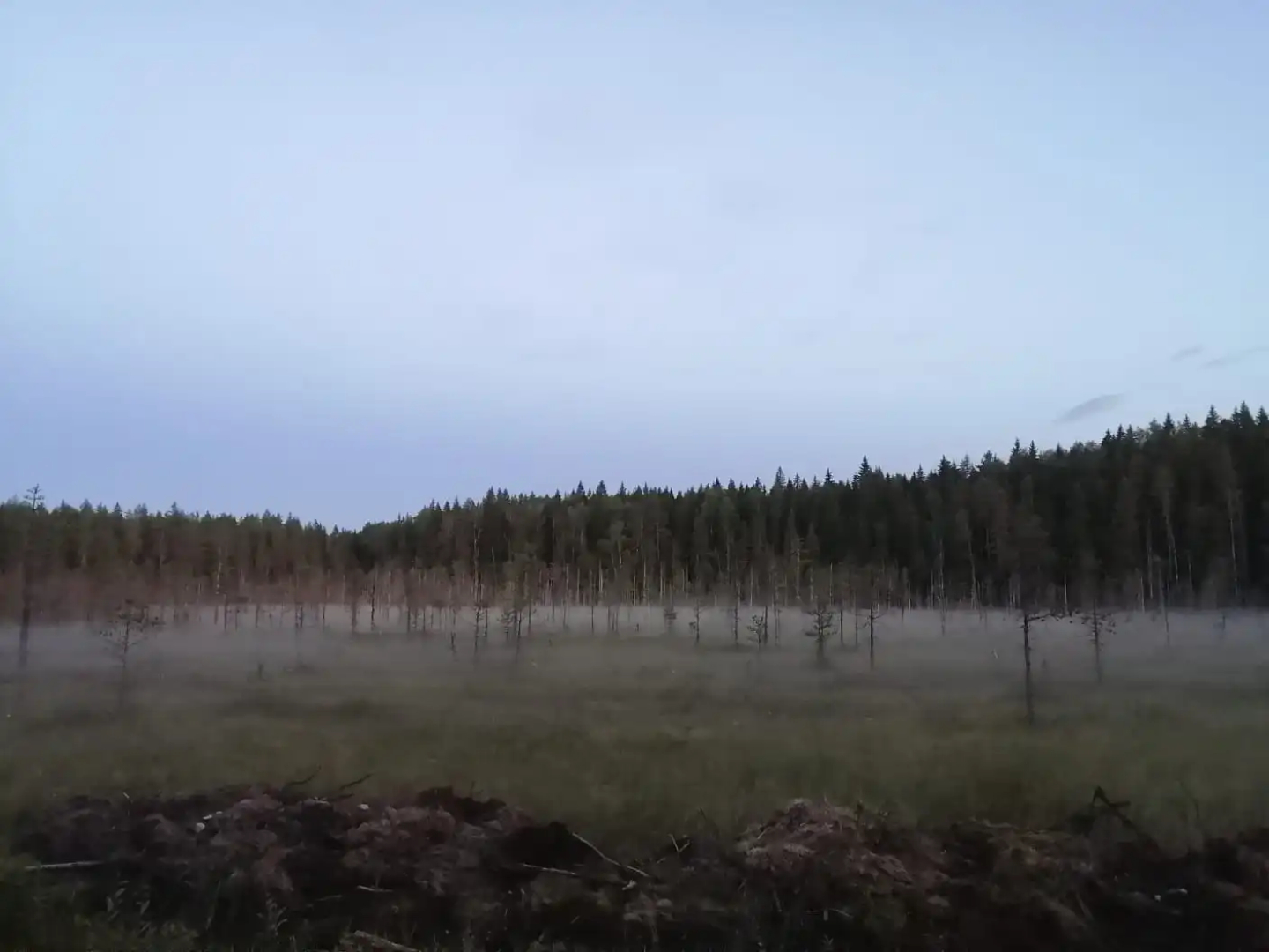 Гостевой дом Меличуярви Лось