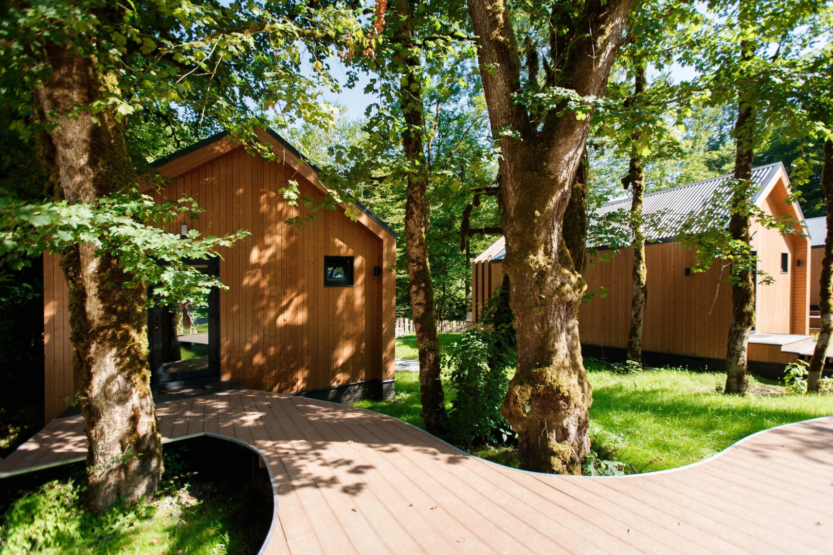 Глэмпинг Енот