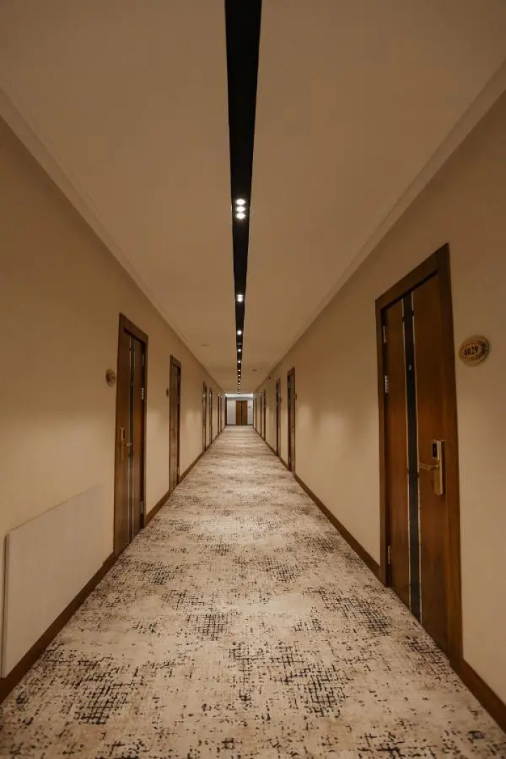 Отель Bogishamol