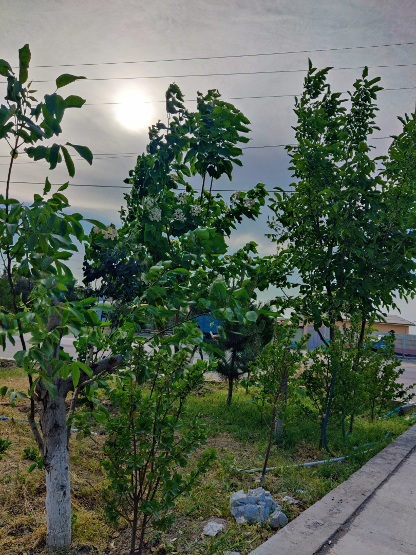 Отель Bahra