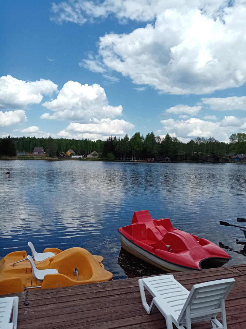 Отель "Дом лесника"