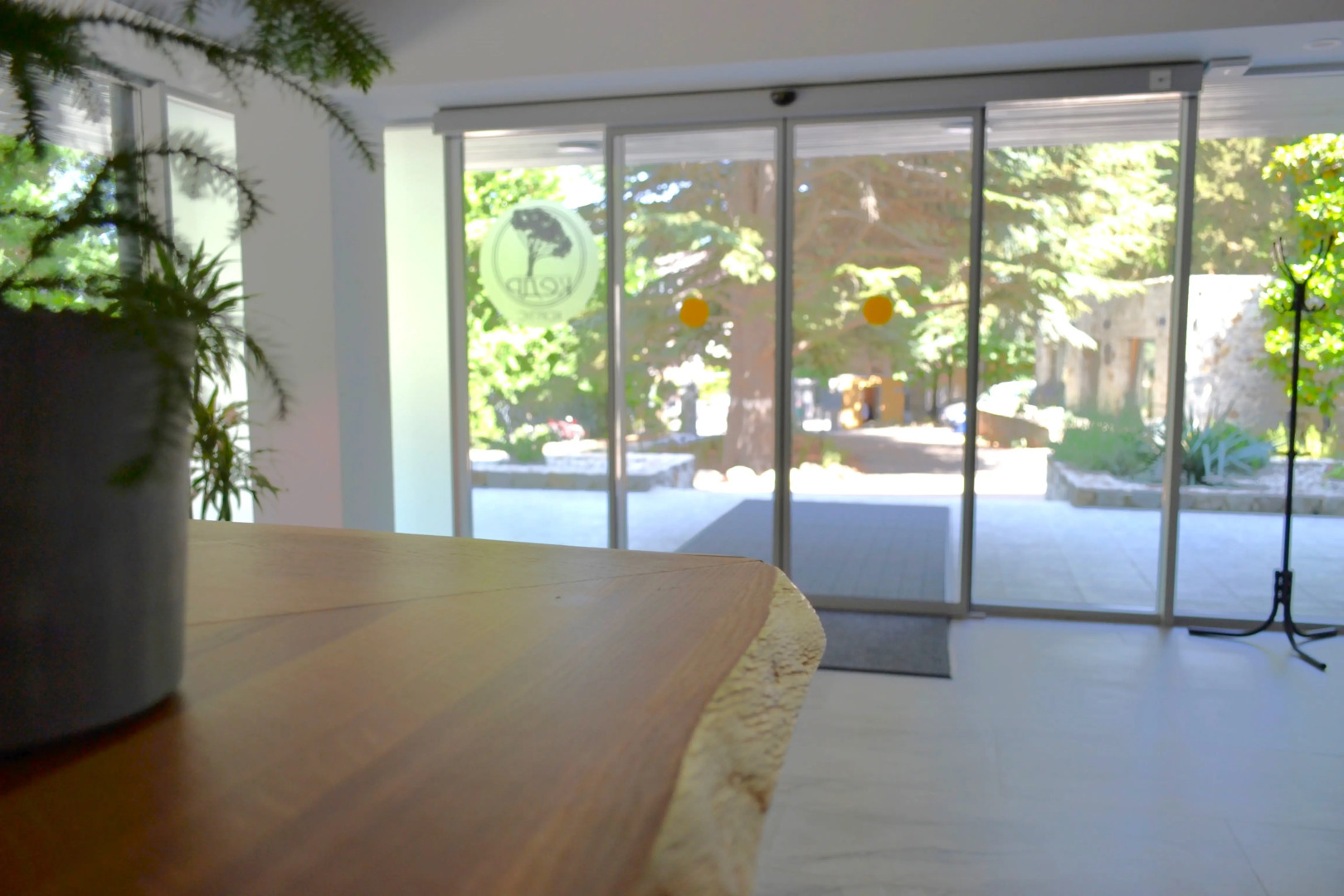 Санаторий Лес