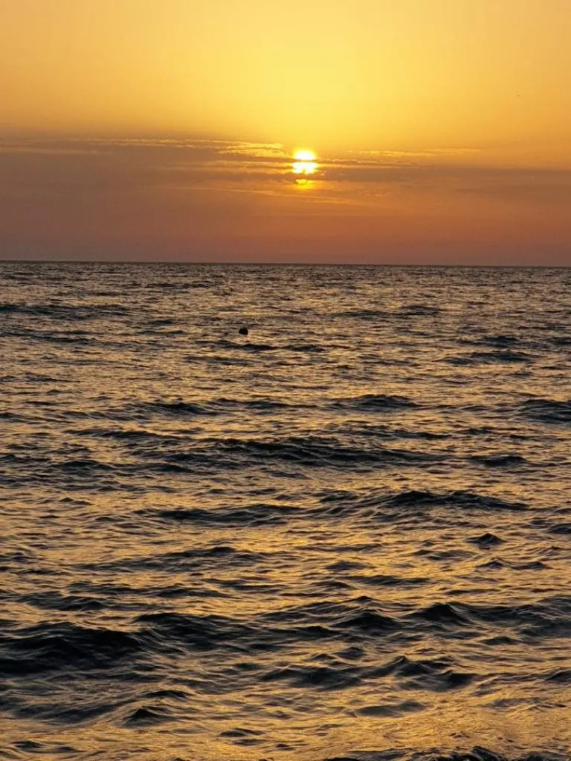 Квартира Курортный