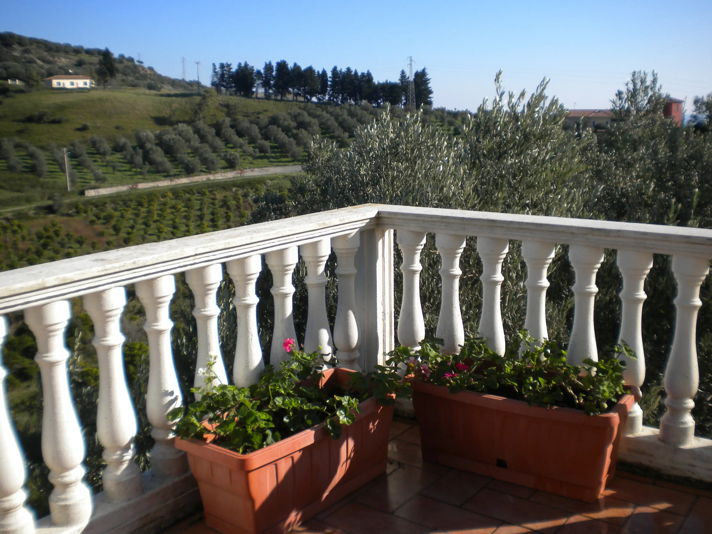 Tenuta Castellesi