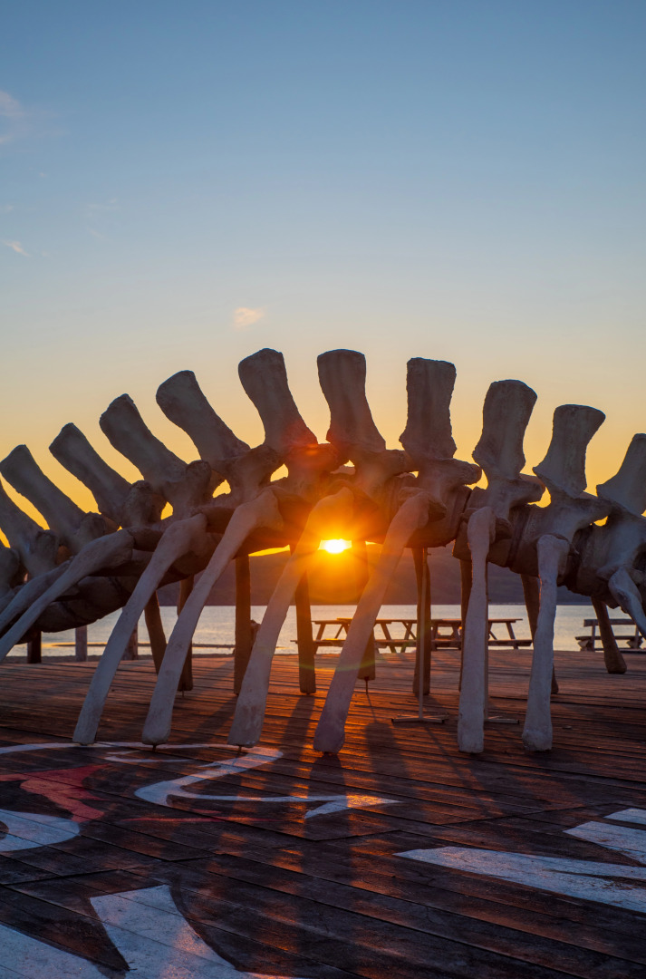 База отдыха Ковчег51