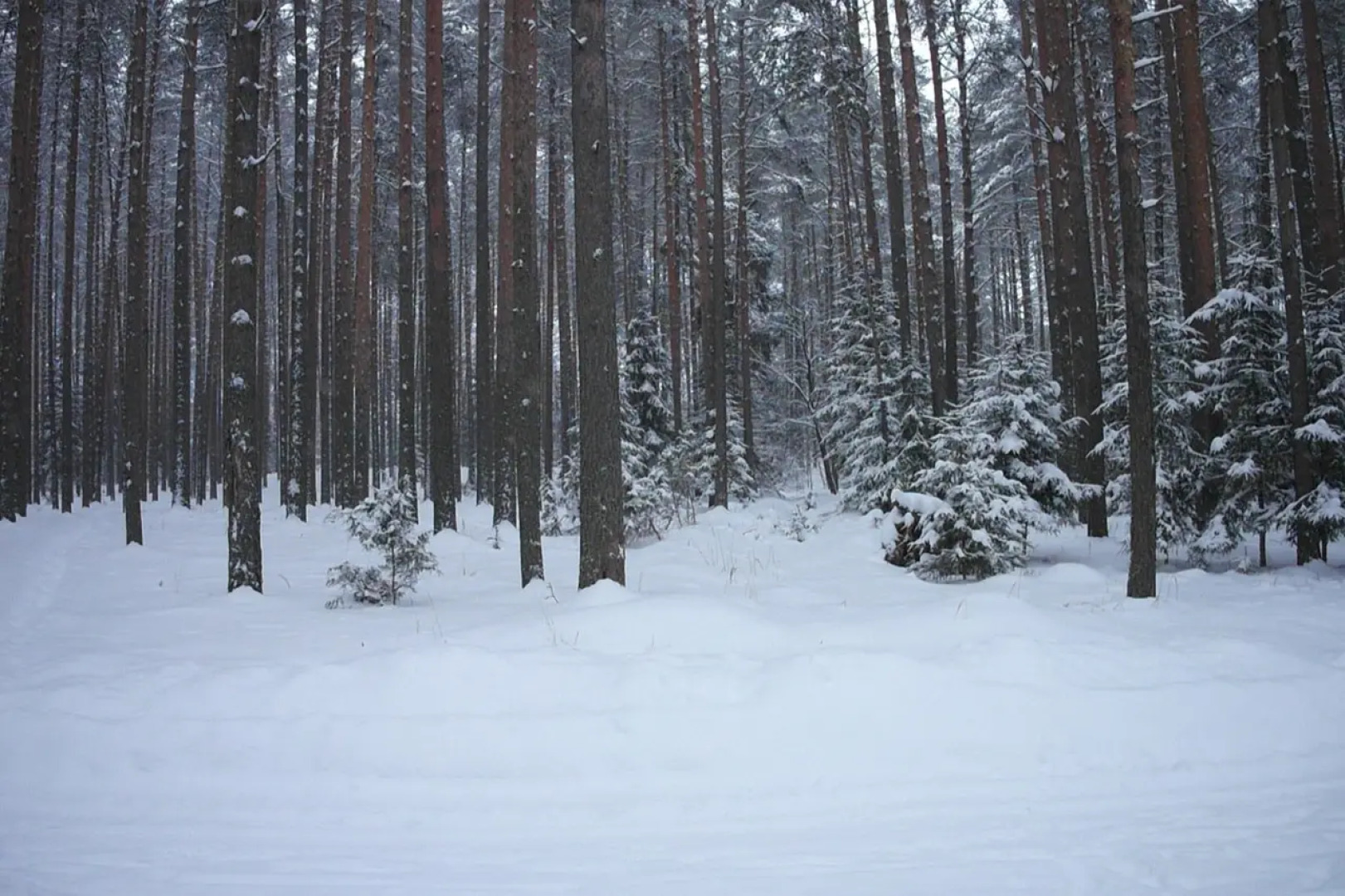 Частный Дом в Турбазе Чайка у Озера