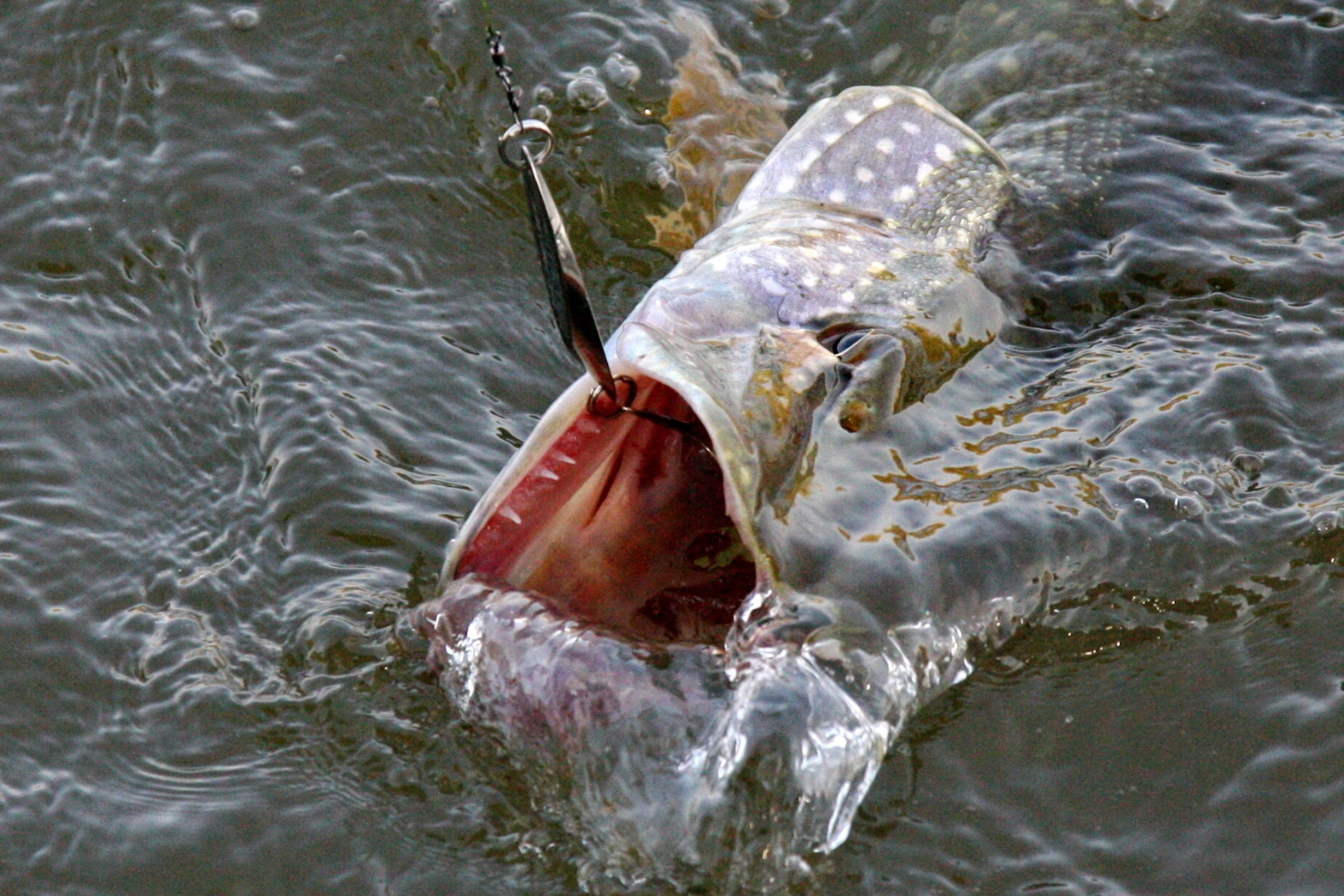 База отдыха Астраханская