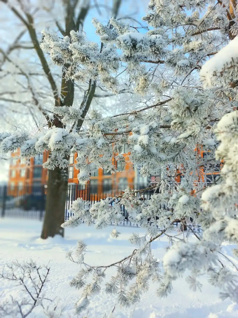 Квартира Housbris на Берегу Залива