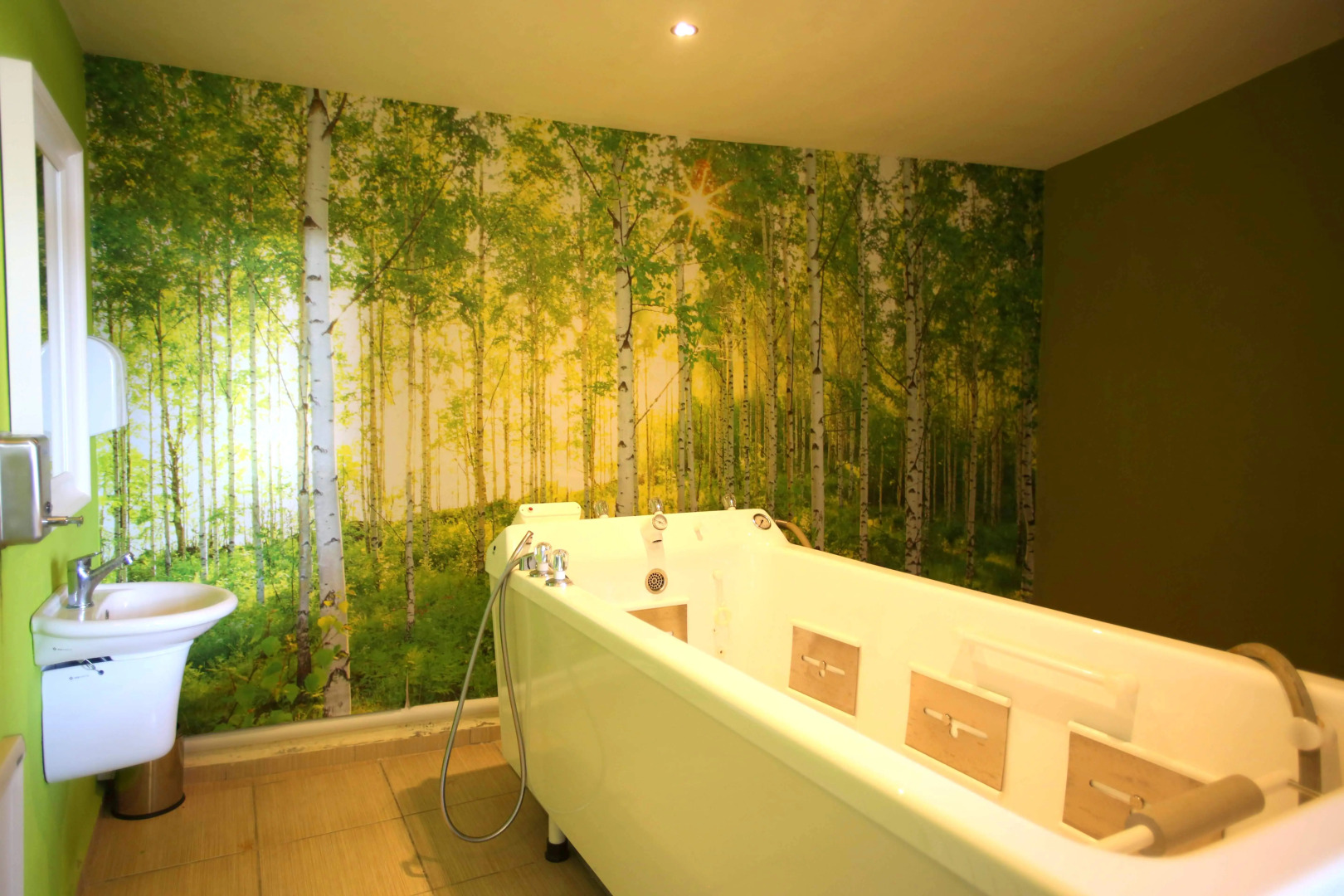 Dalaman Airport Lykia Thermal & SPA