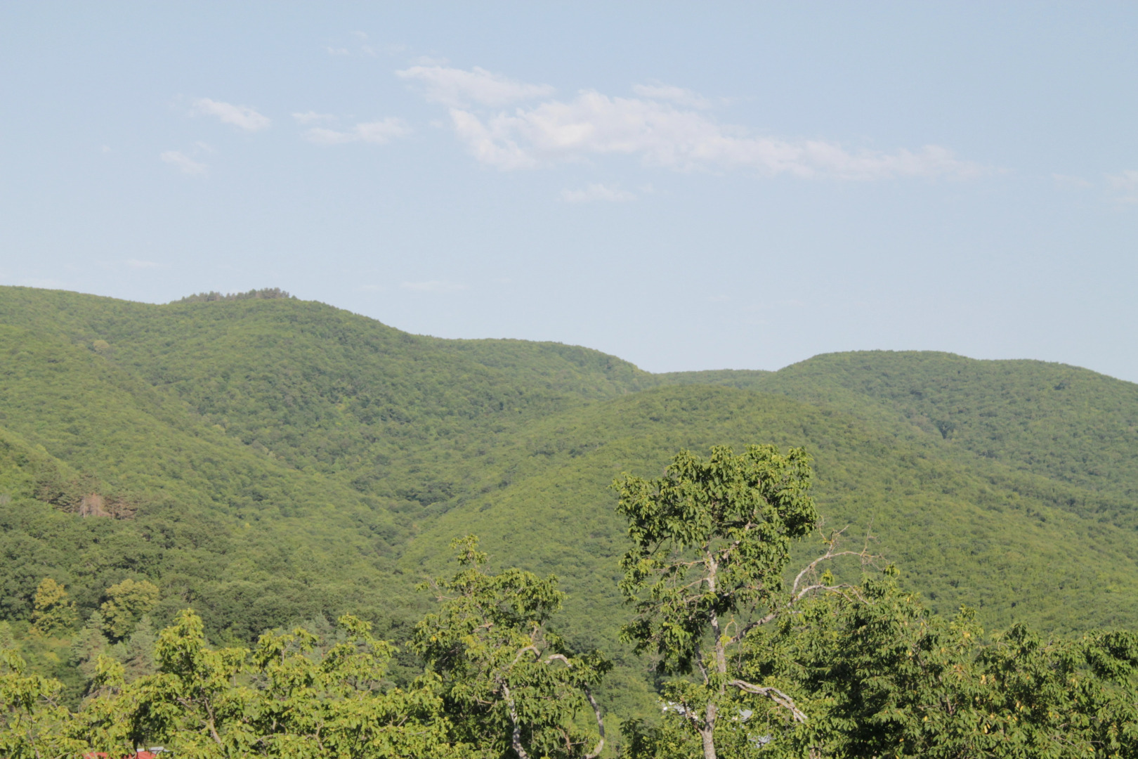 Гостевой Дом Best - Host