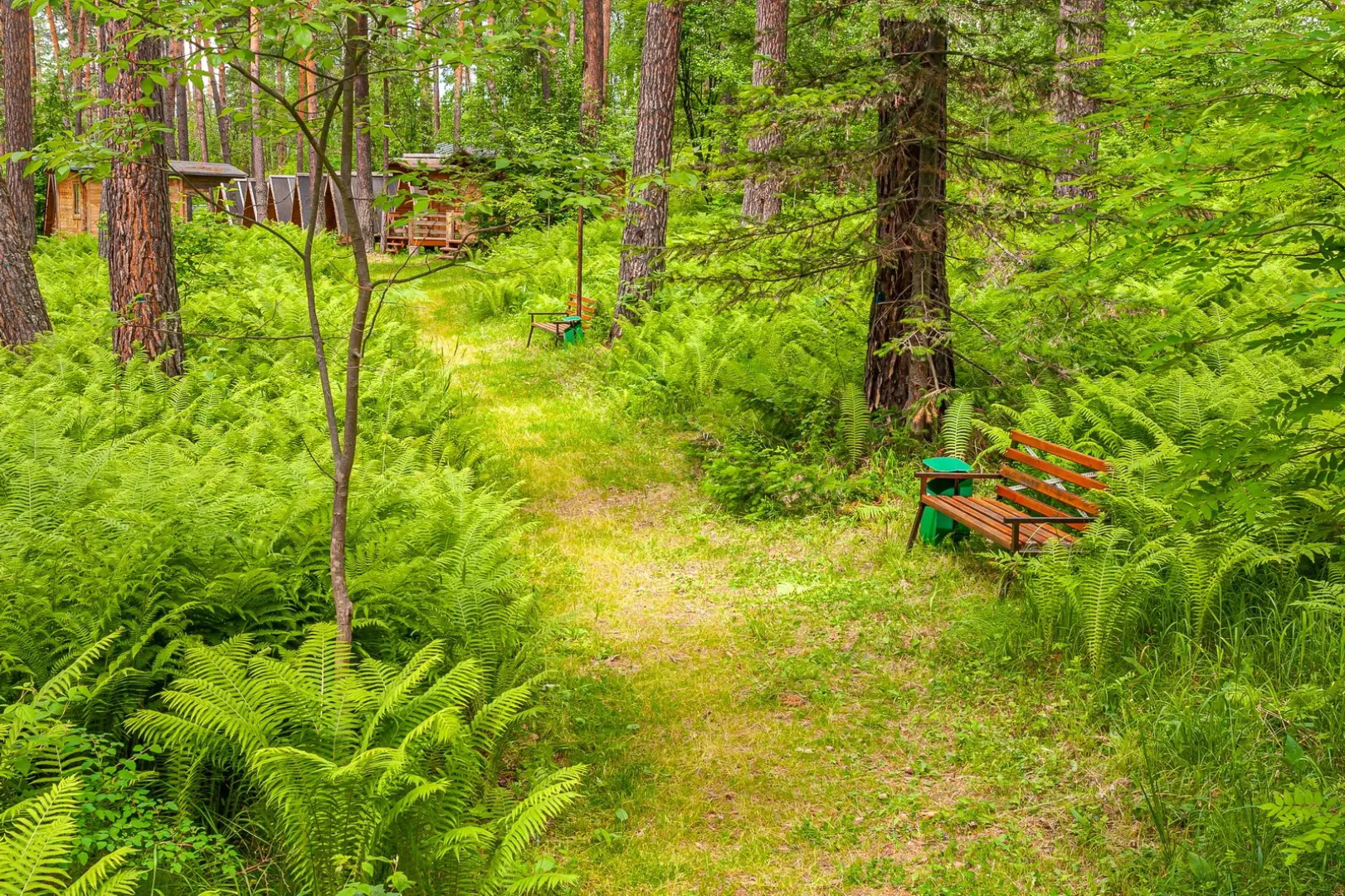 База отдыха Рафт-Премьер