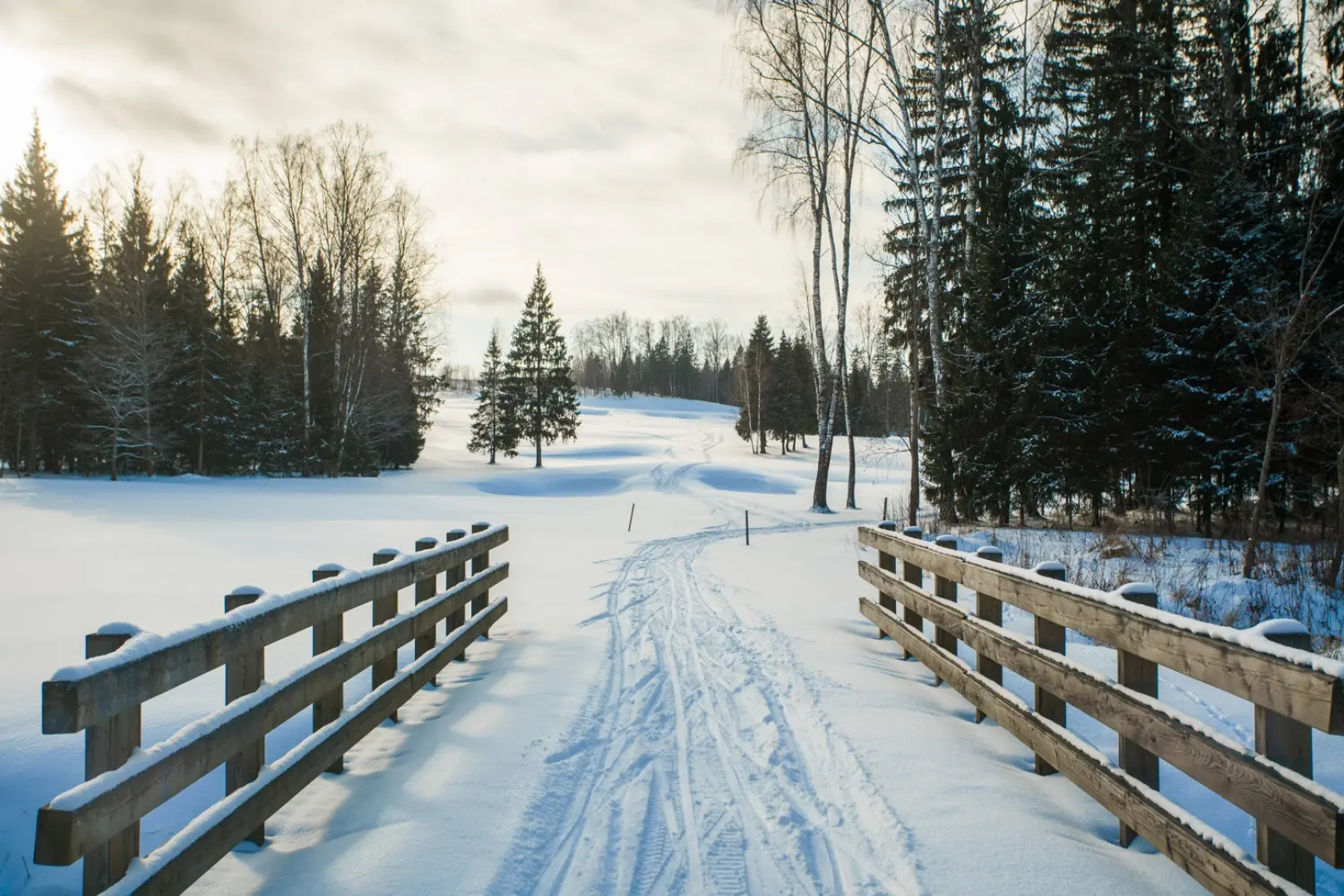 Отель Forest Hills Golf Resort by Moss